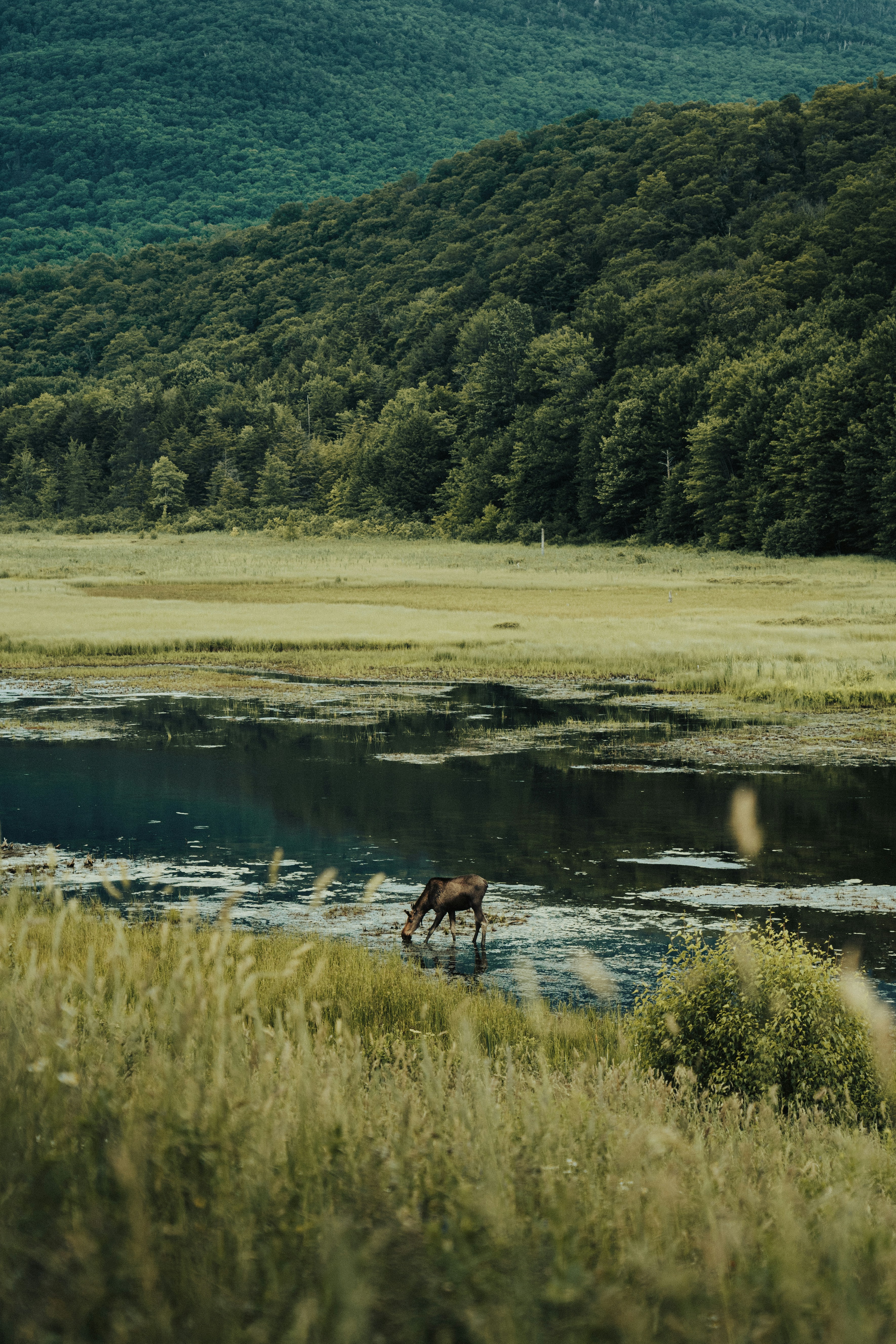 Vermont
