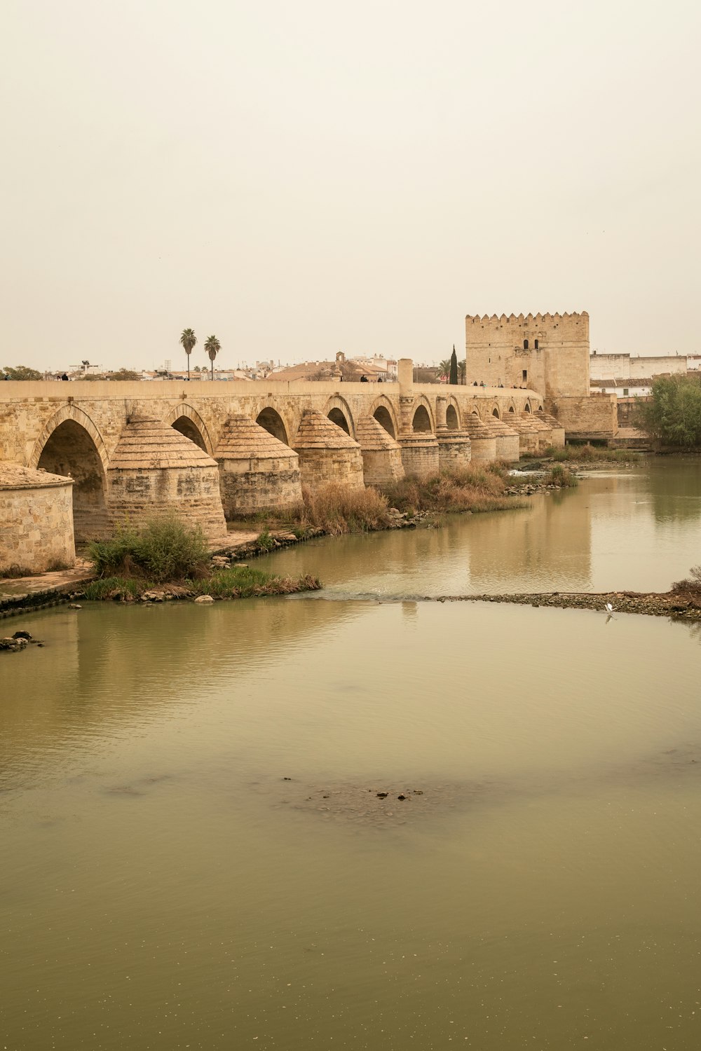 ein großes Gewässer mit einer Brücke im Hintergrund