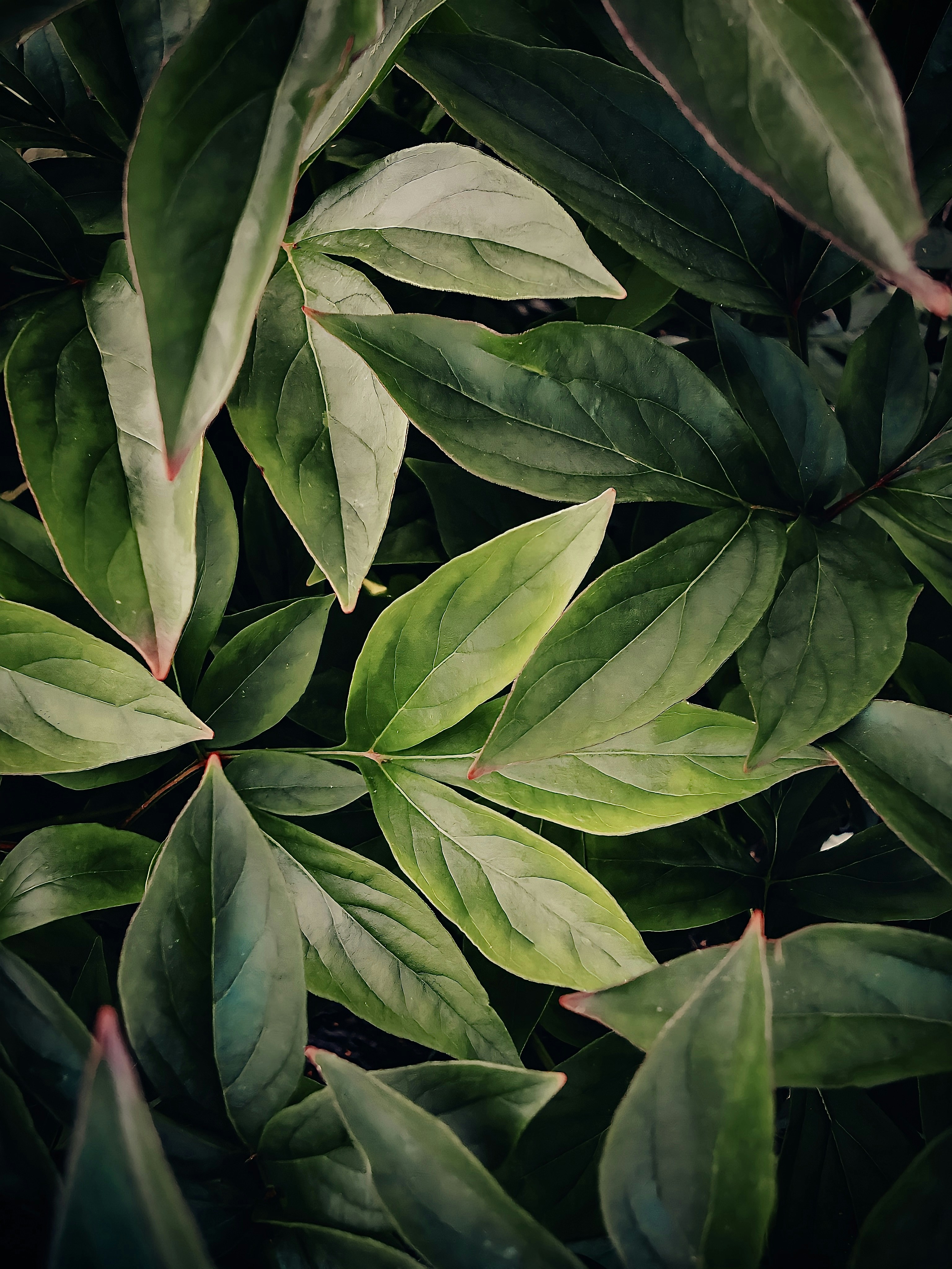 Photo by eugene_golovesov