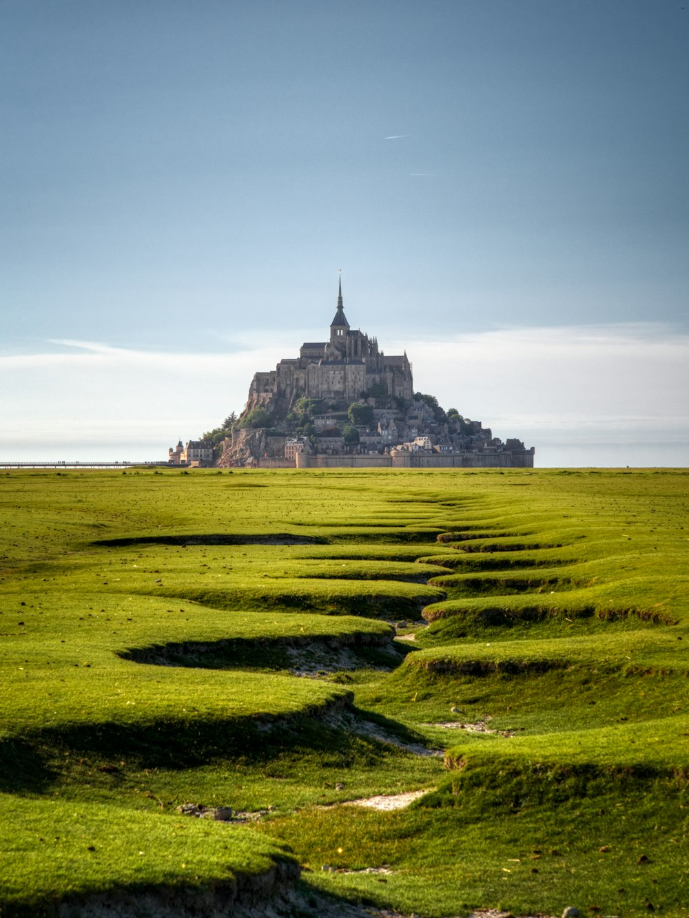 a large grassy field with a castle on top of it