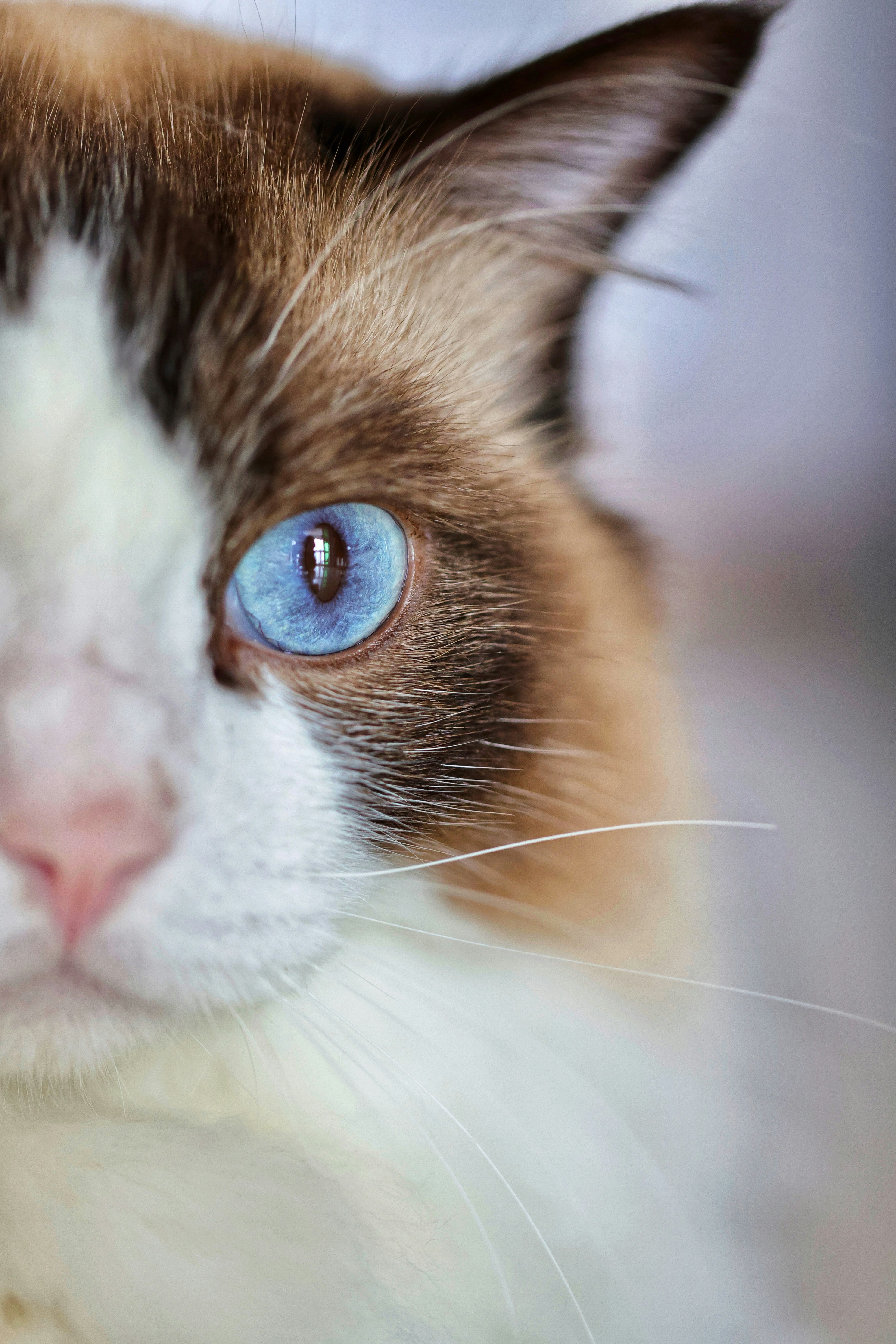 Photo by dickenslin76