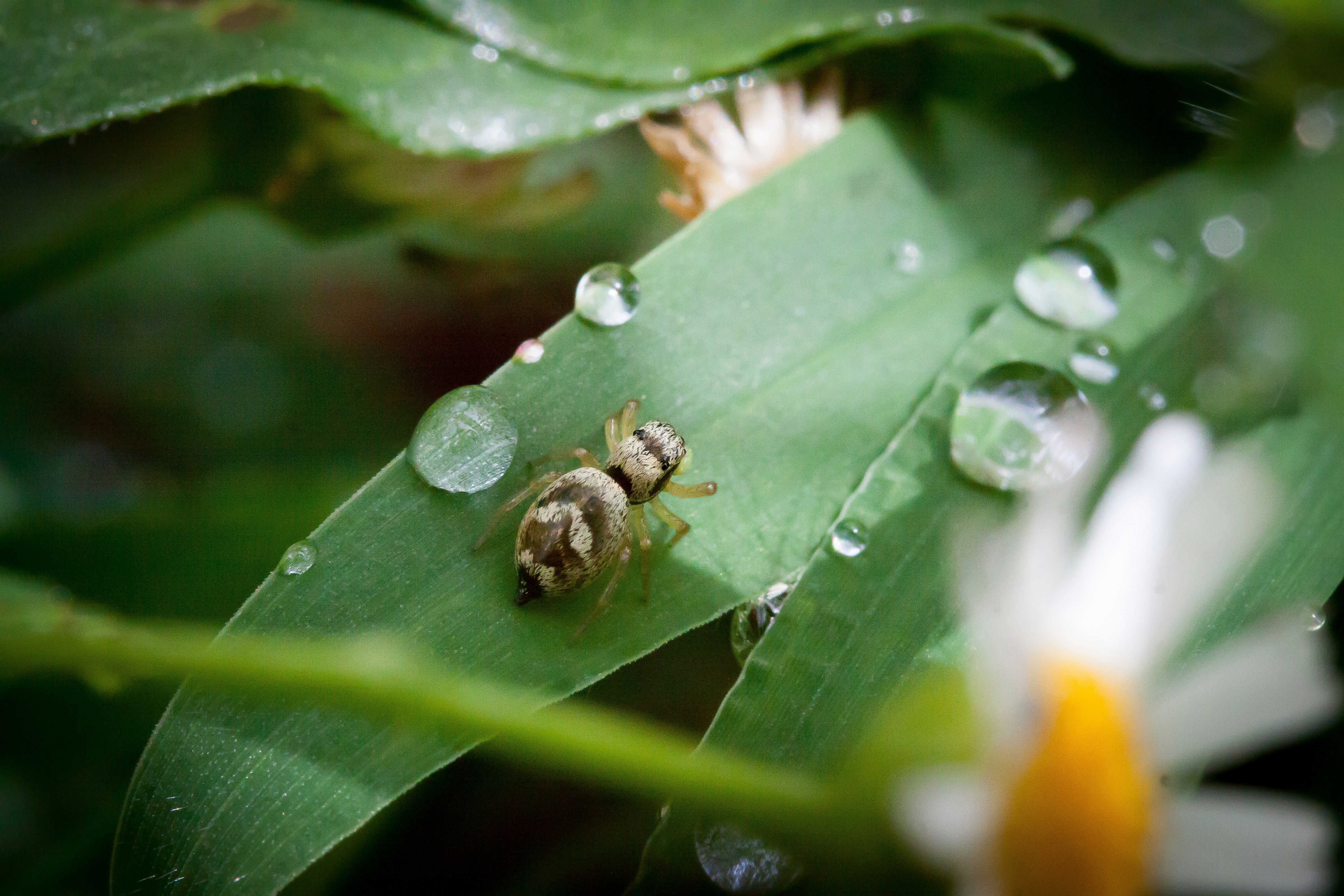 Photo by docmasky