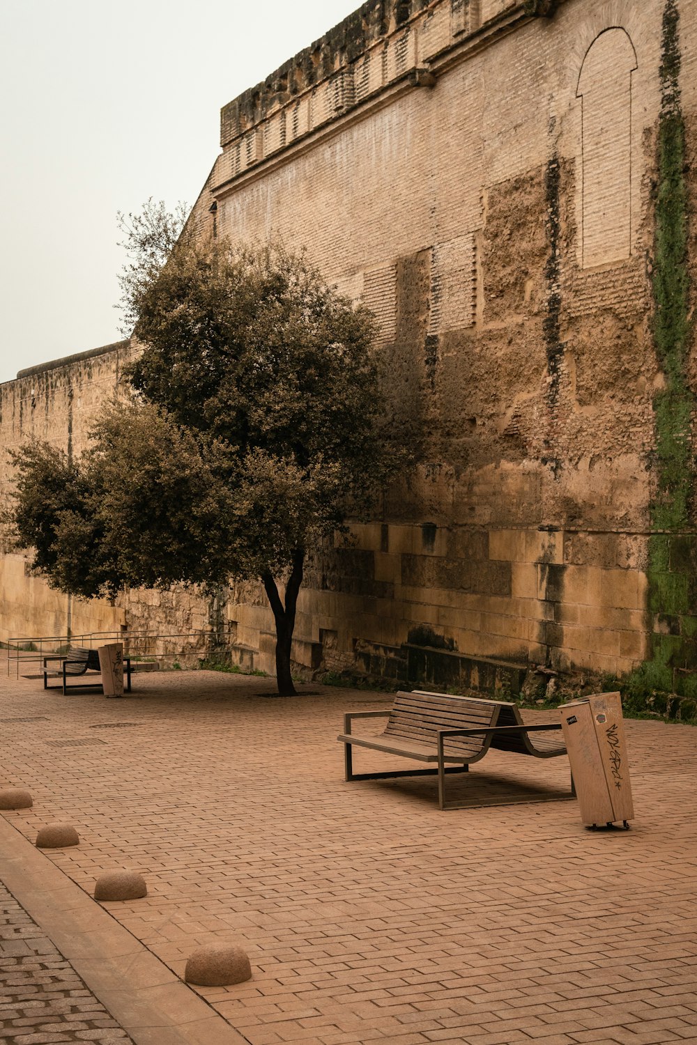 a bench sitting on a brick walkway next to a tree