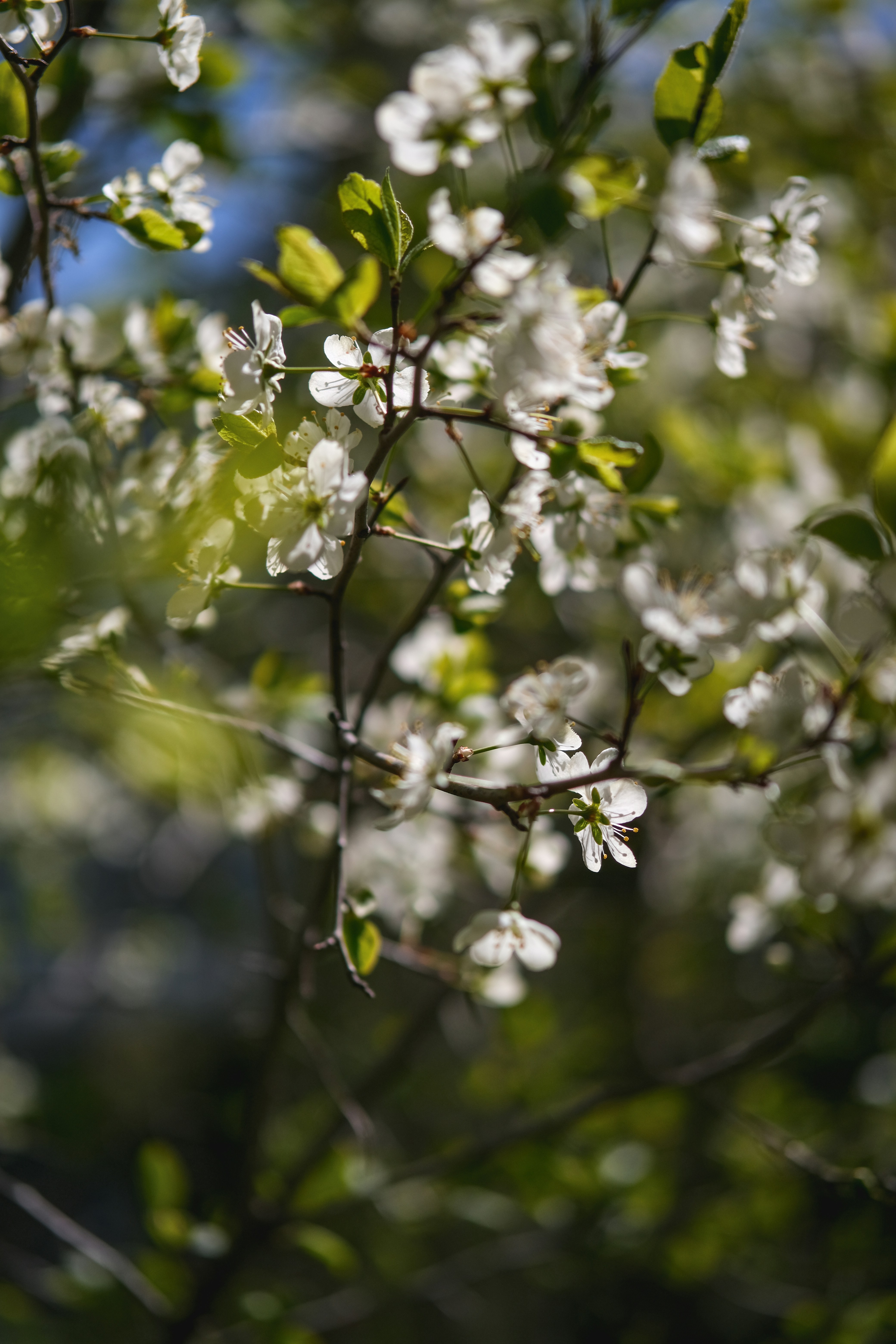 Photo by rolig_basseng