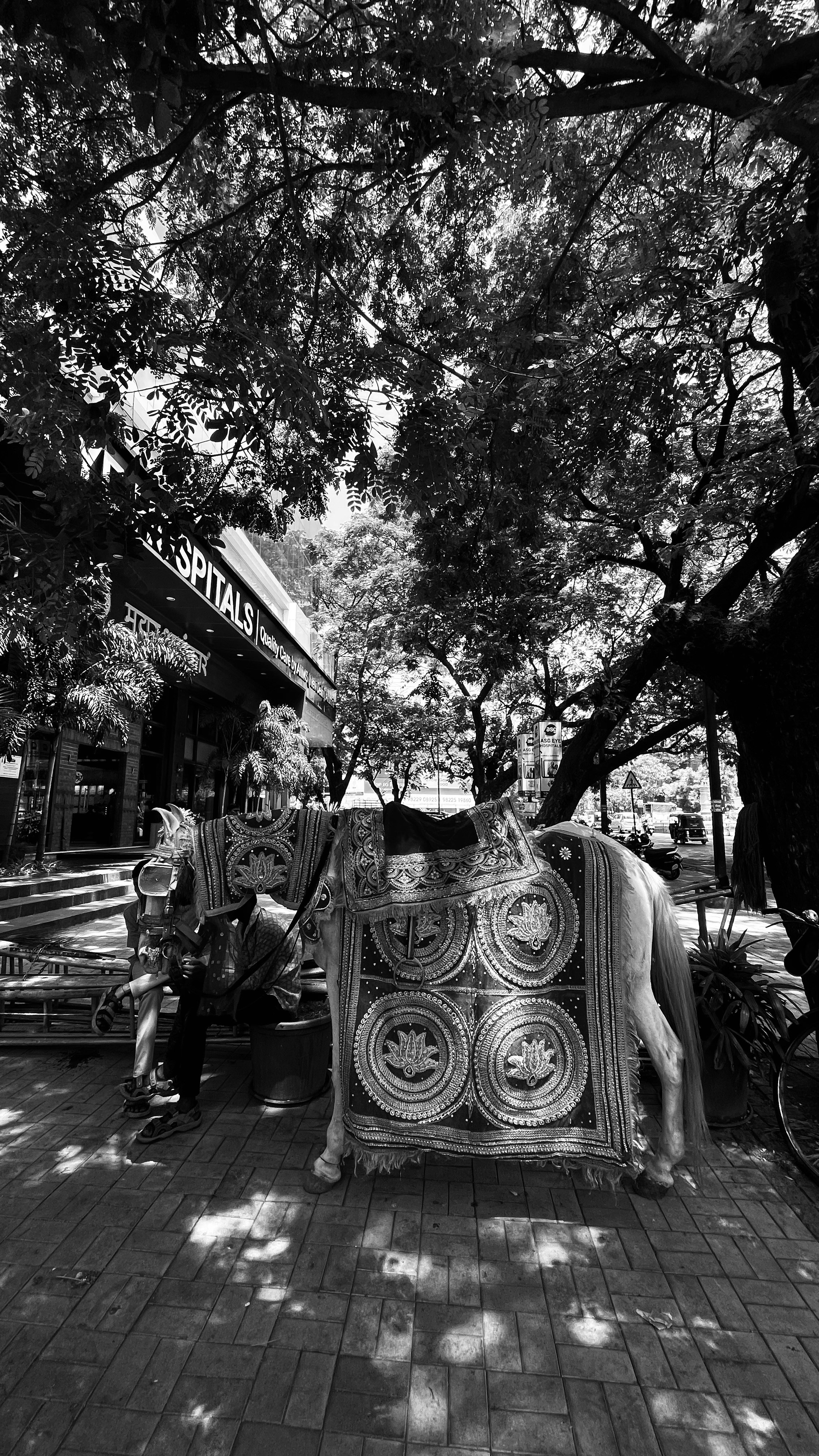 Photo by rushikeshsk