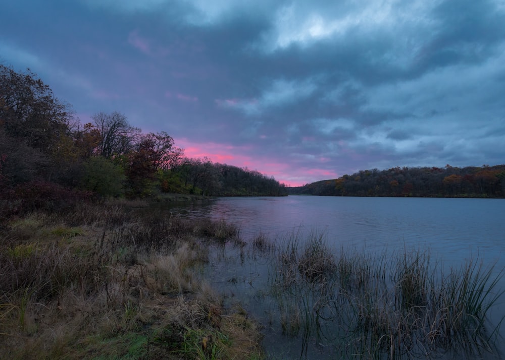 a body of water surrounded by grass and trees