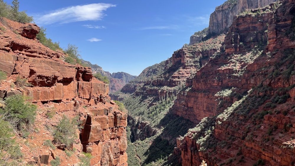 a scenic view of a canyon in the mountains