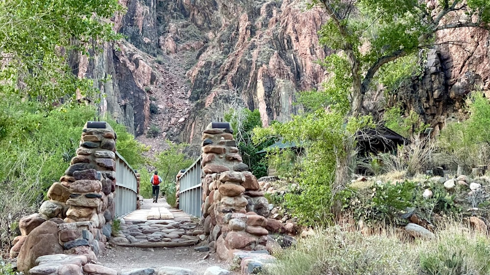 a man is standing on a bridge in the mountains