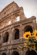 a close up of a building with flowers in front of it