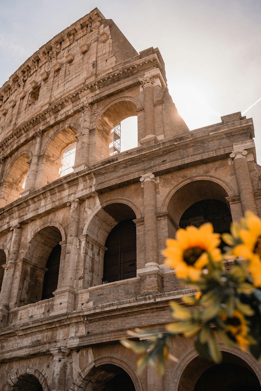 a close up of a building with flowers in front of it