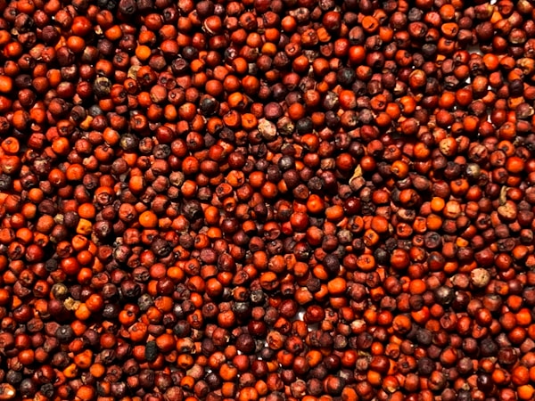 A close up of a bunch of berries