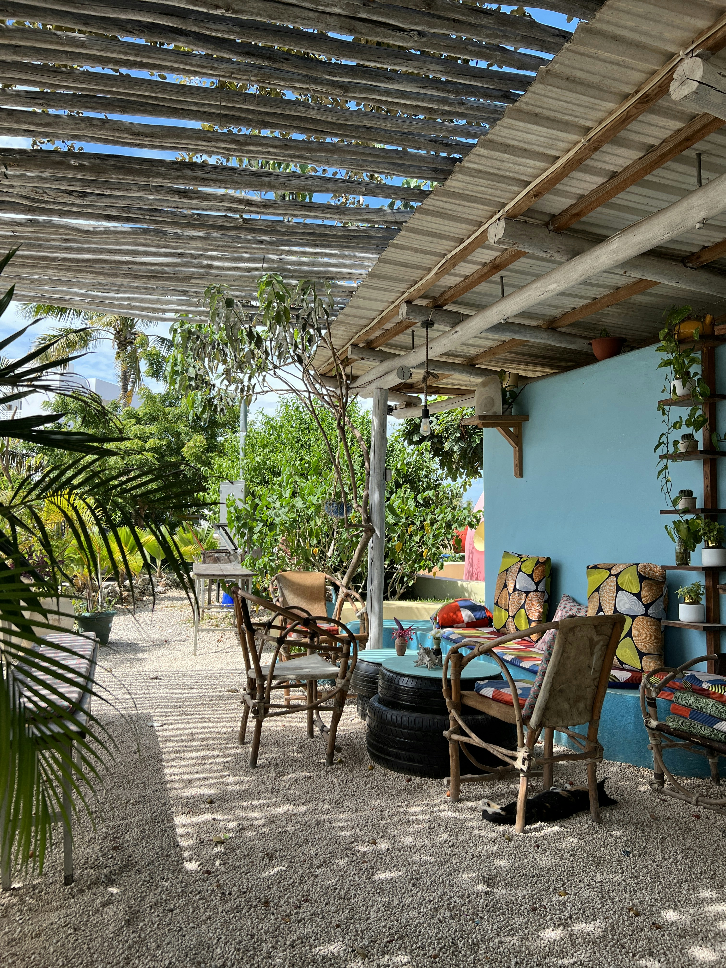 Thai Palms Restaurant Menu