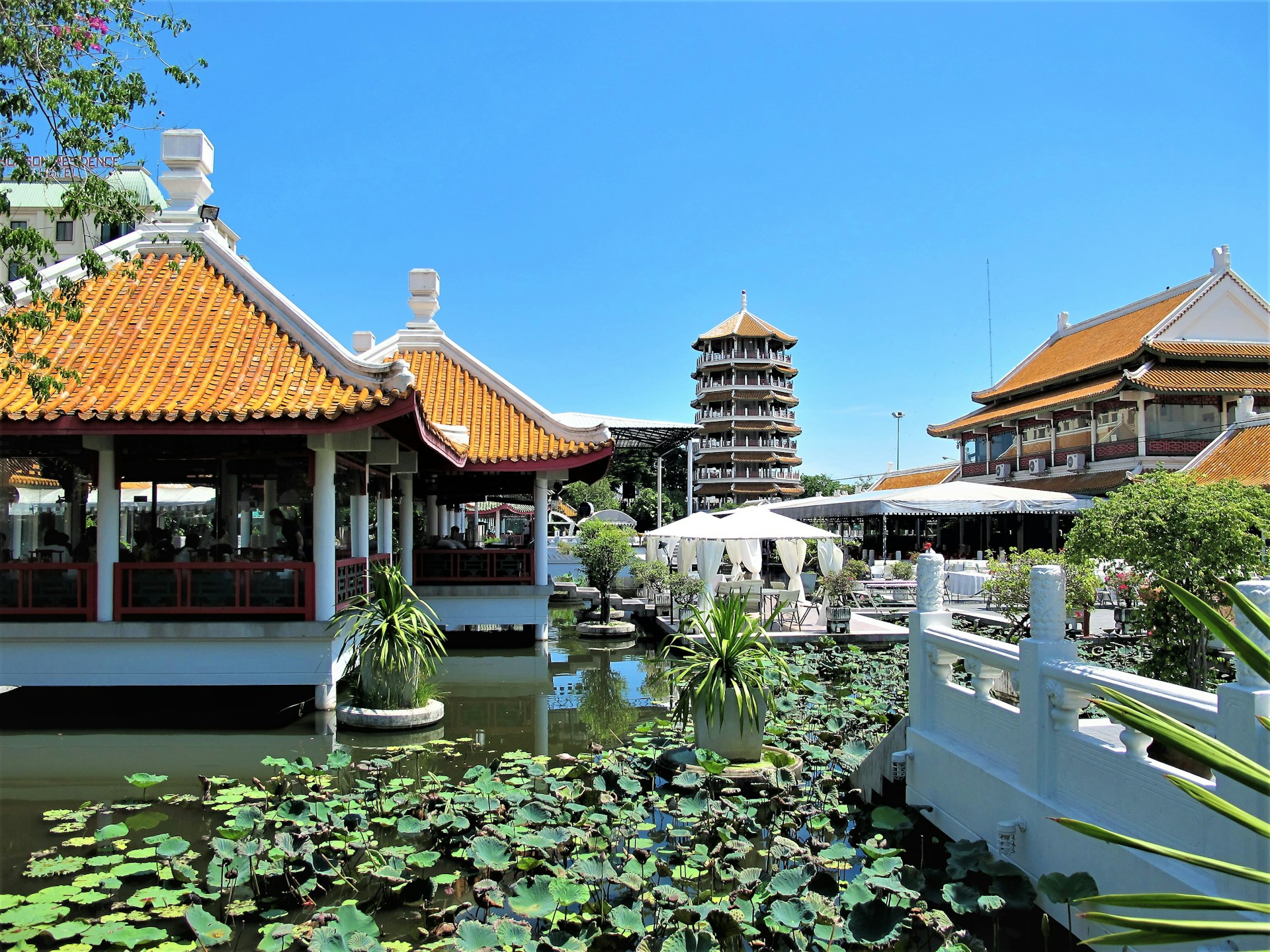 a pond with lily pads in front of a building