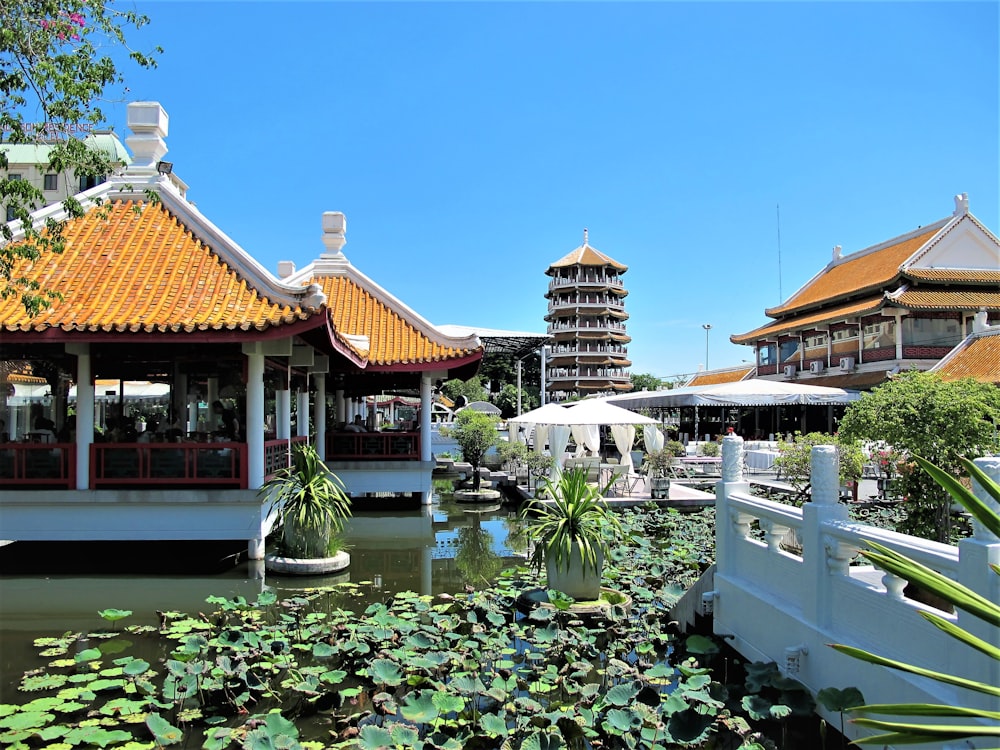 a pond with lily pads in front of a building