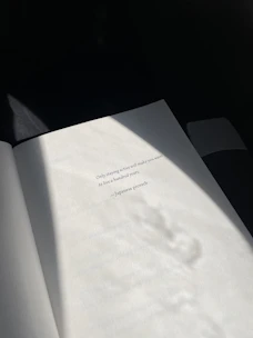 An open book with handwritten quotes illuminated by gentle natural light on a soft red background.