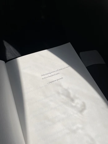 Artistic shot of inspirational quotes from the books illuminated by soft gold light on a textured black backdrop.