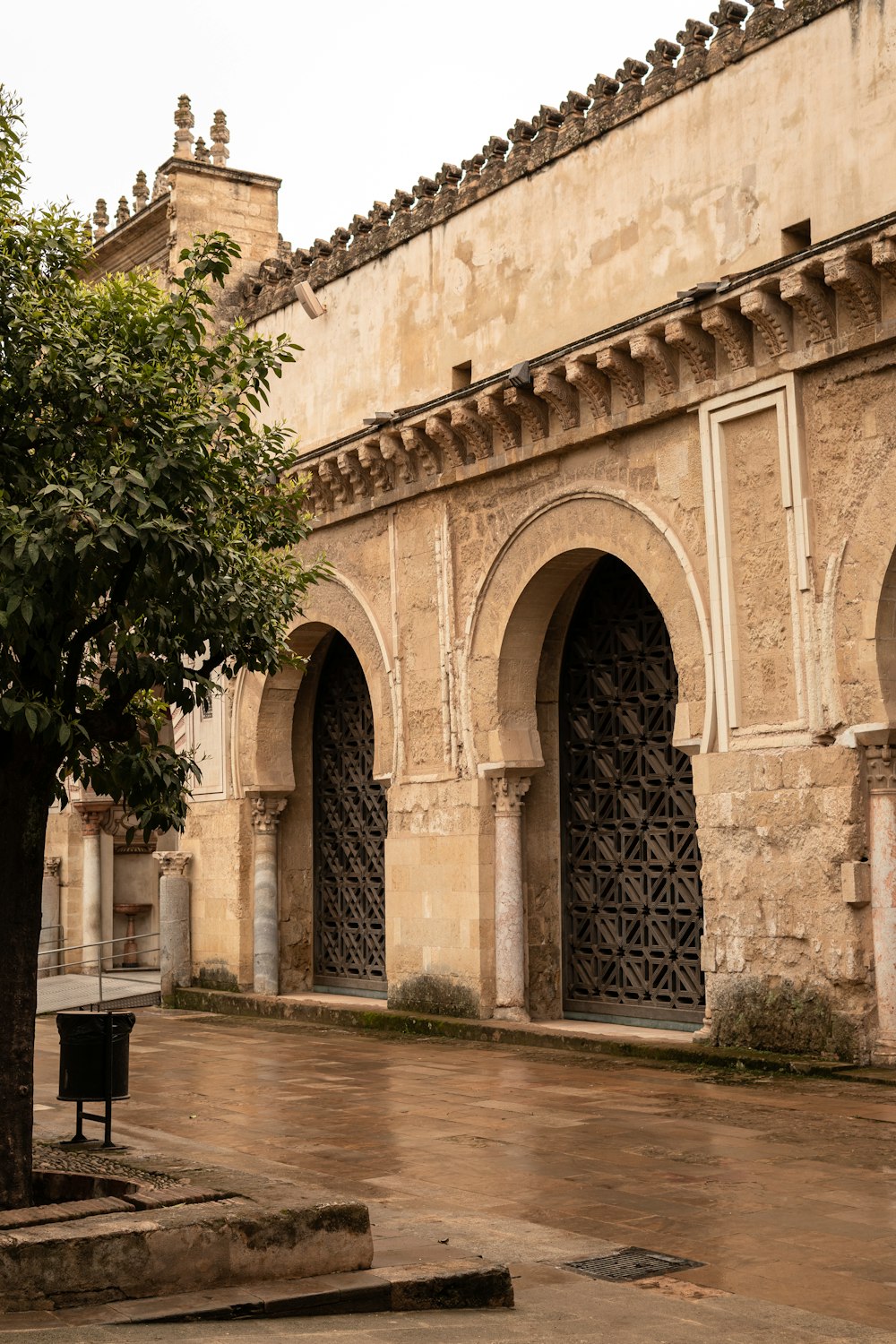 a large building with a tree in front of it