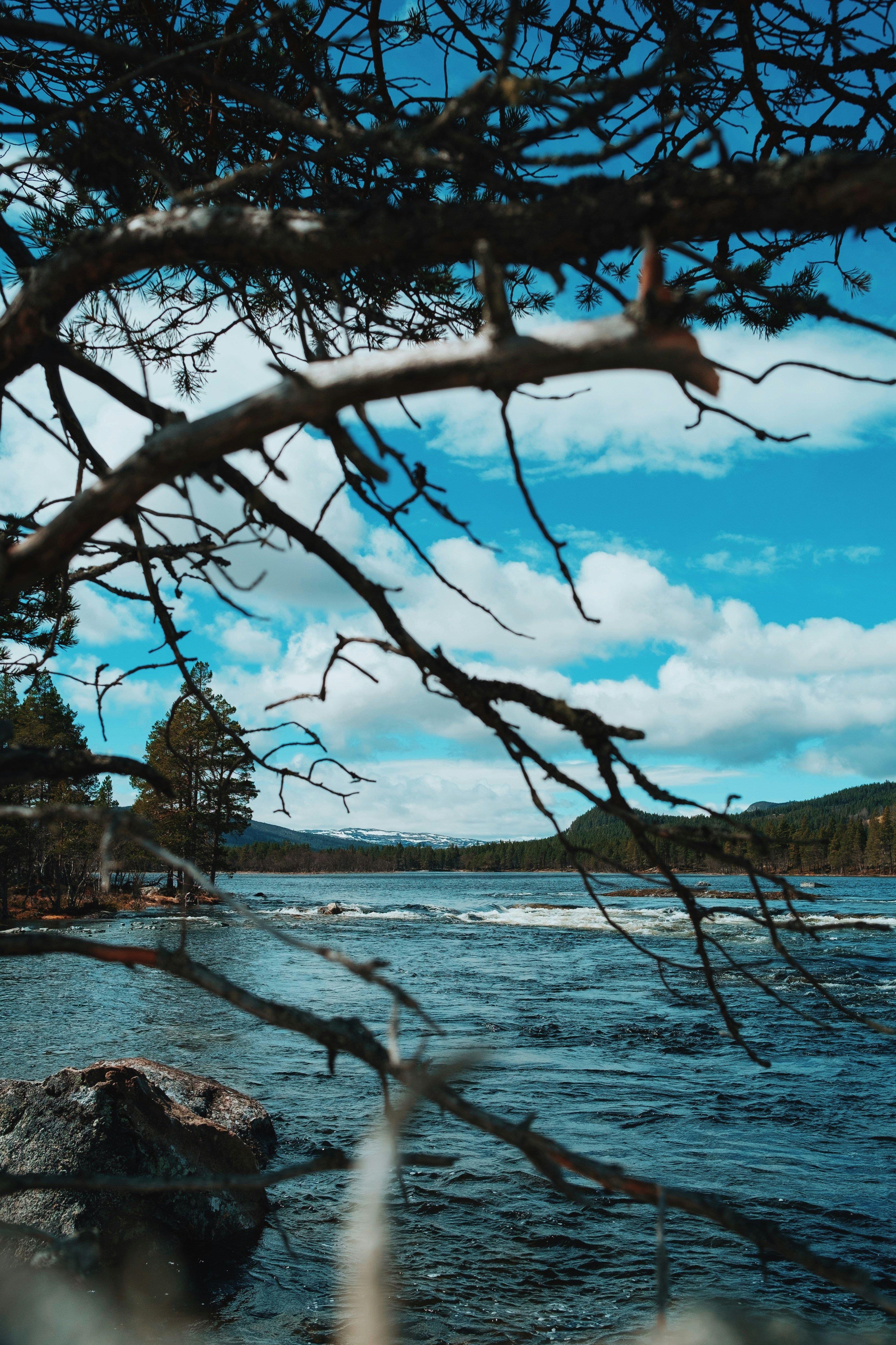 ein Gewässer, umgeben von Bäumen und Felsen