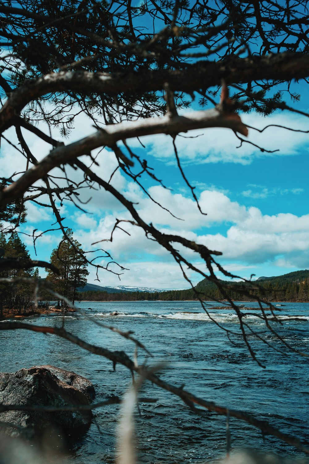 un plan d’eau entouré d’arbres et de rochers