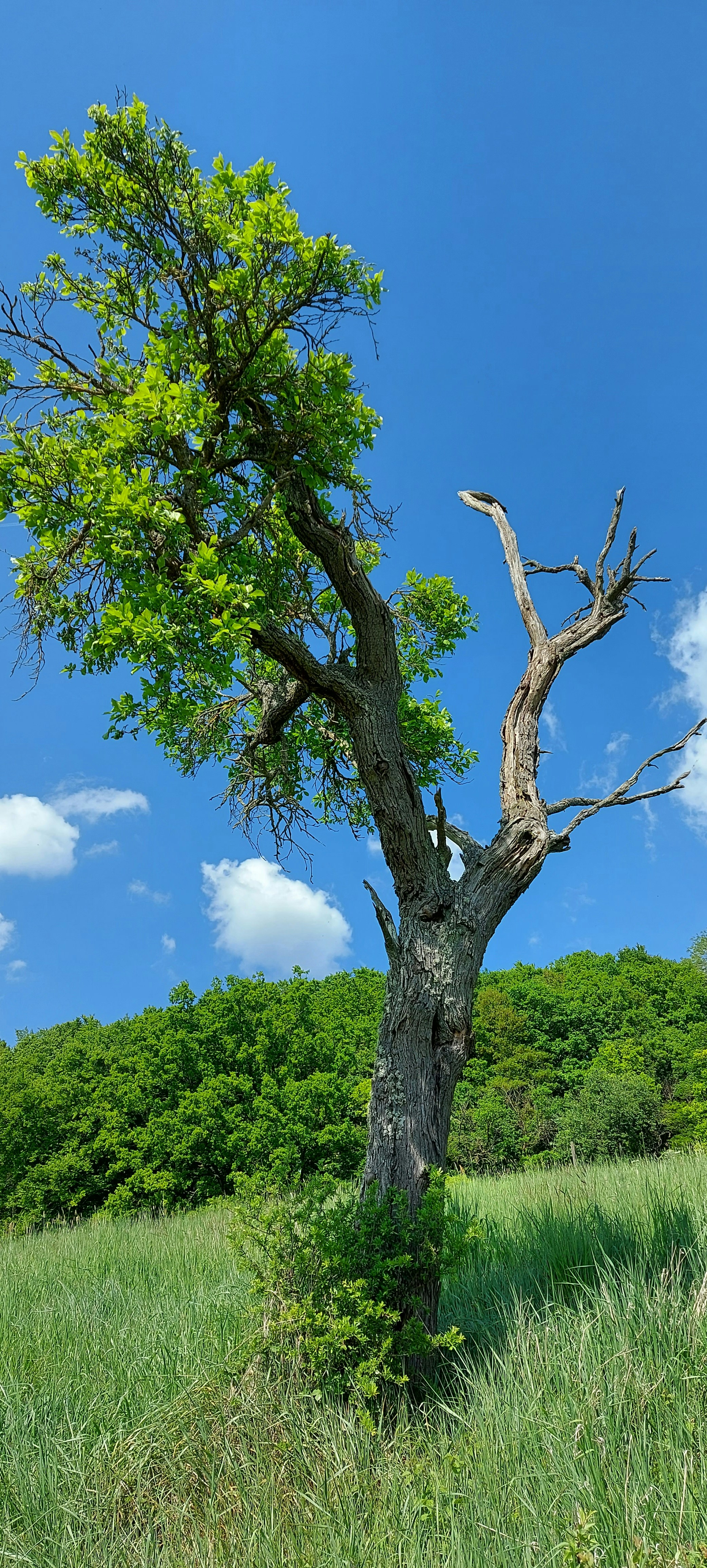 Photo by kacommunications