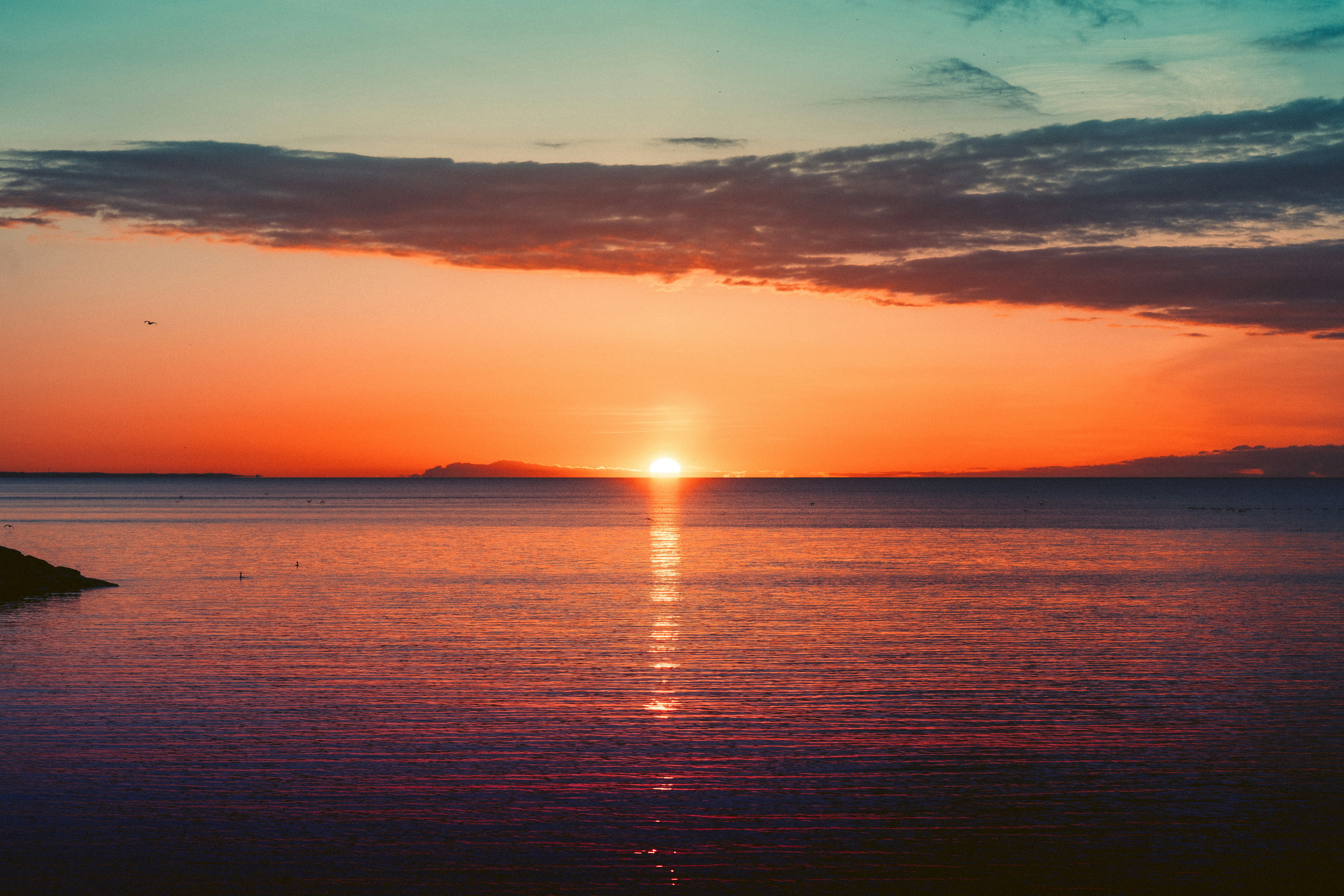 Photo by nikhilmitra