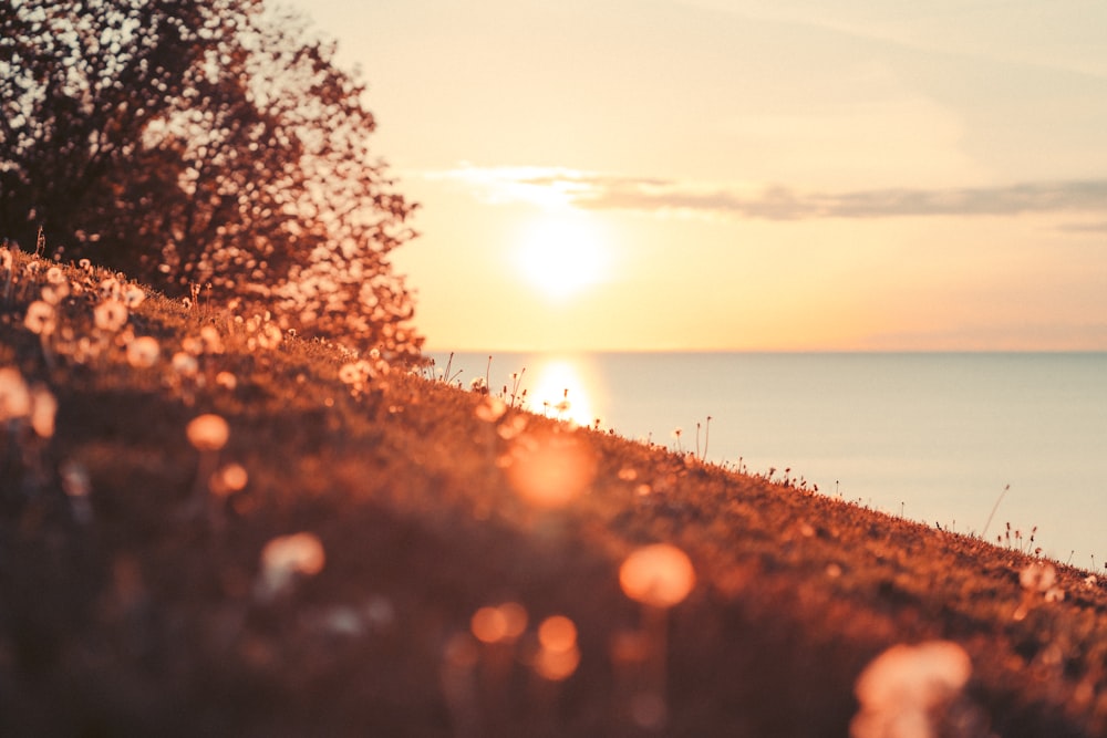 the sun is setting over the water on a hill