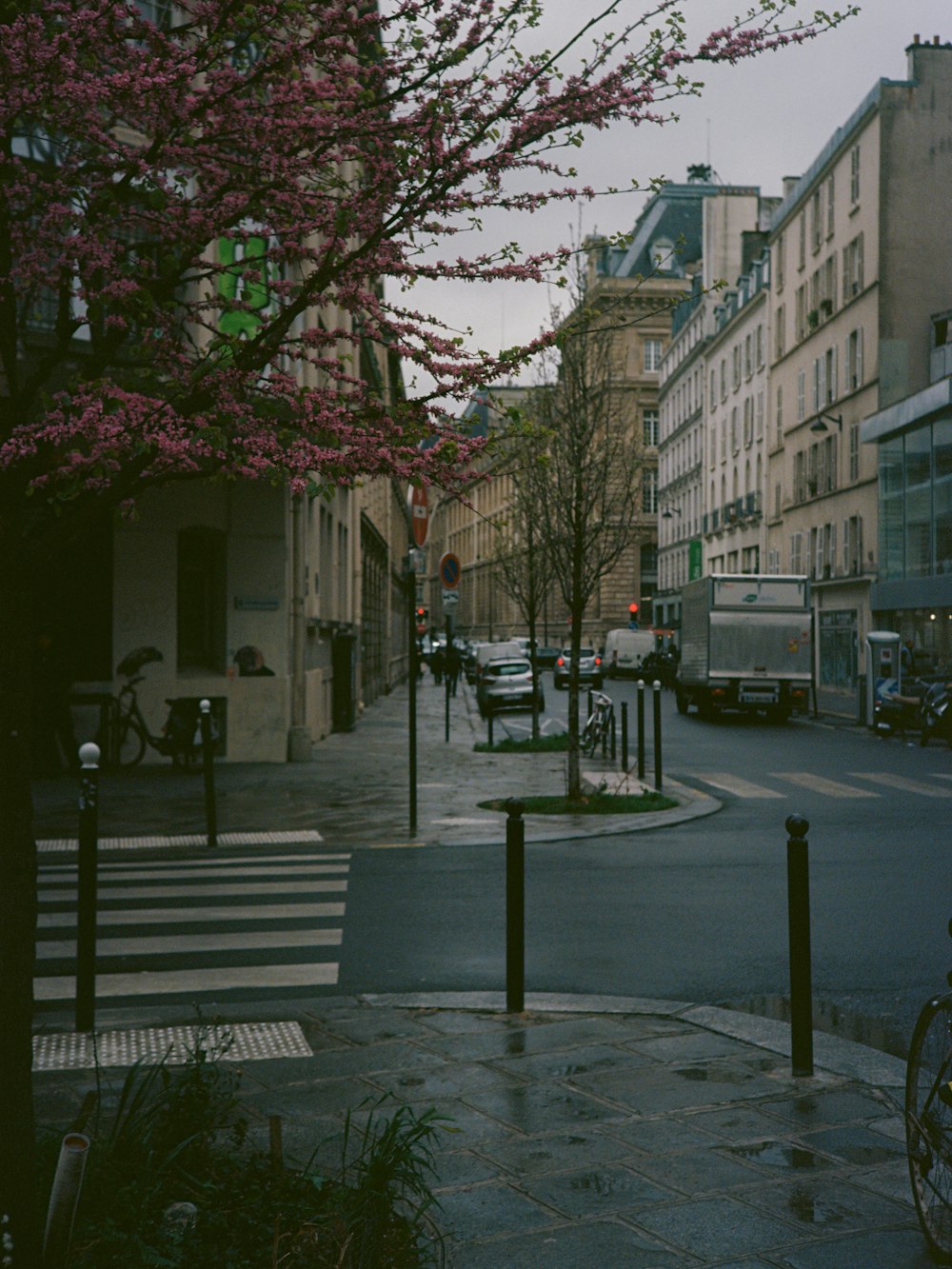 a city street with a tree in the middle of it