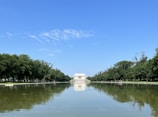 A serene pool reflecting the towering trees and a castle-like structure in the background.