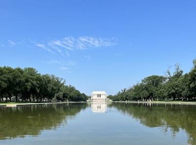 A serene pool reflecting the towering trees and a castle-like structure in the background.