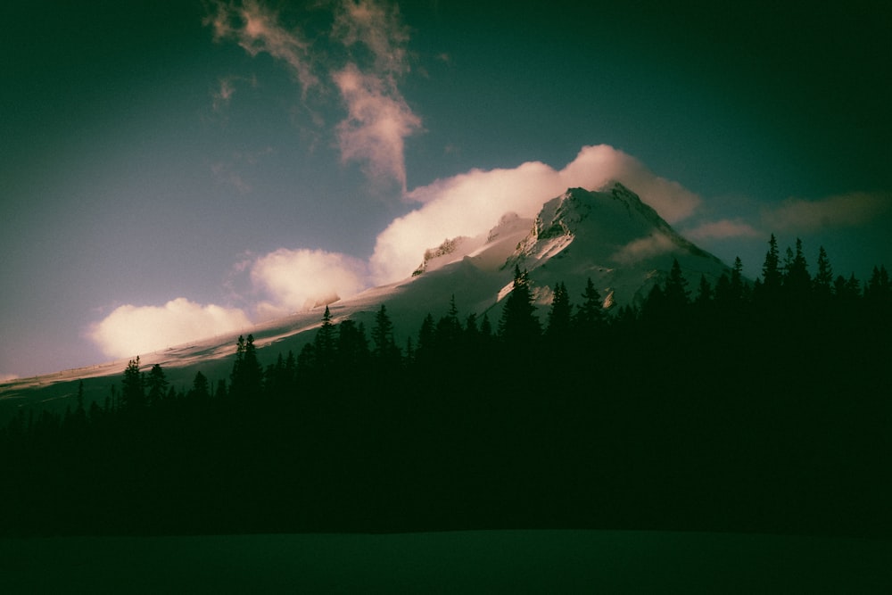 a mountain covered in clouds and trees under a blue sky