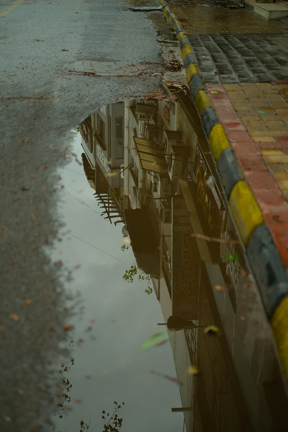 a reflection of a building in a puddle of water