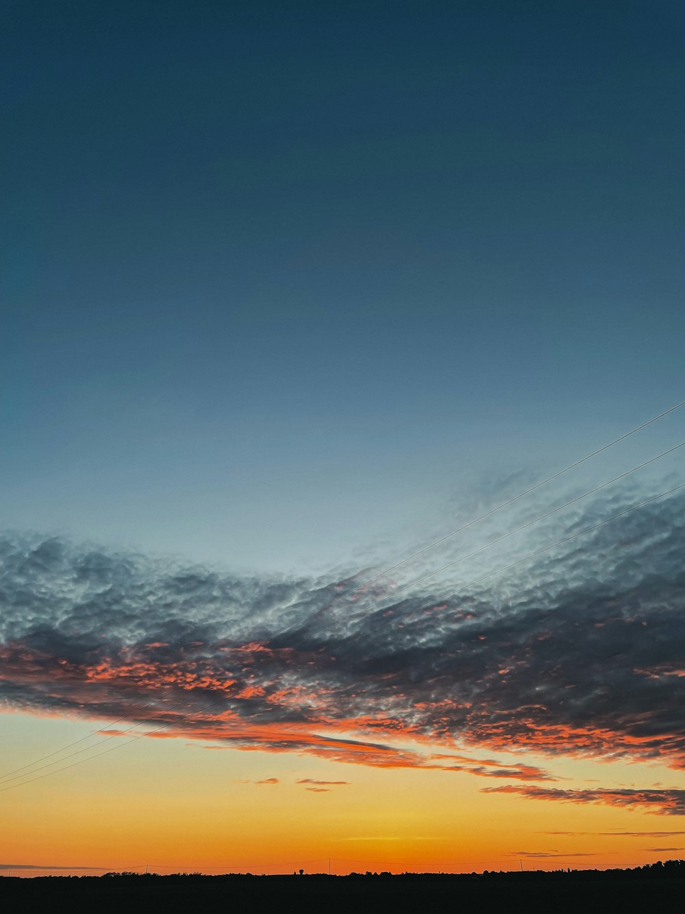 a person is flying a kite in the sky