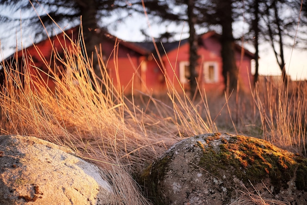 a red house is in the distance behind some rocks