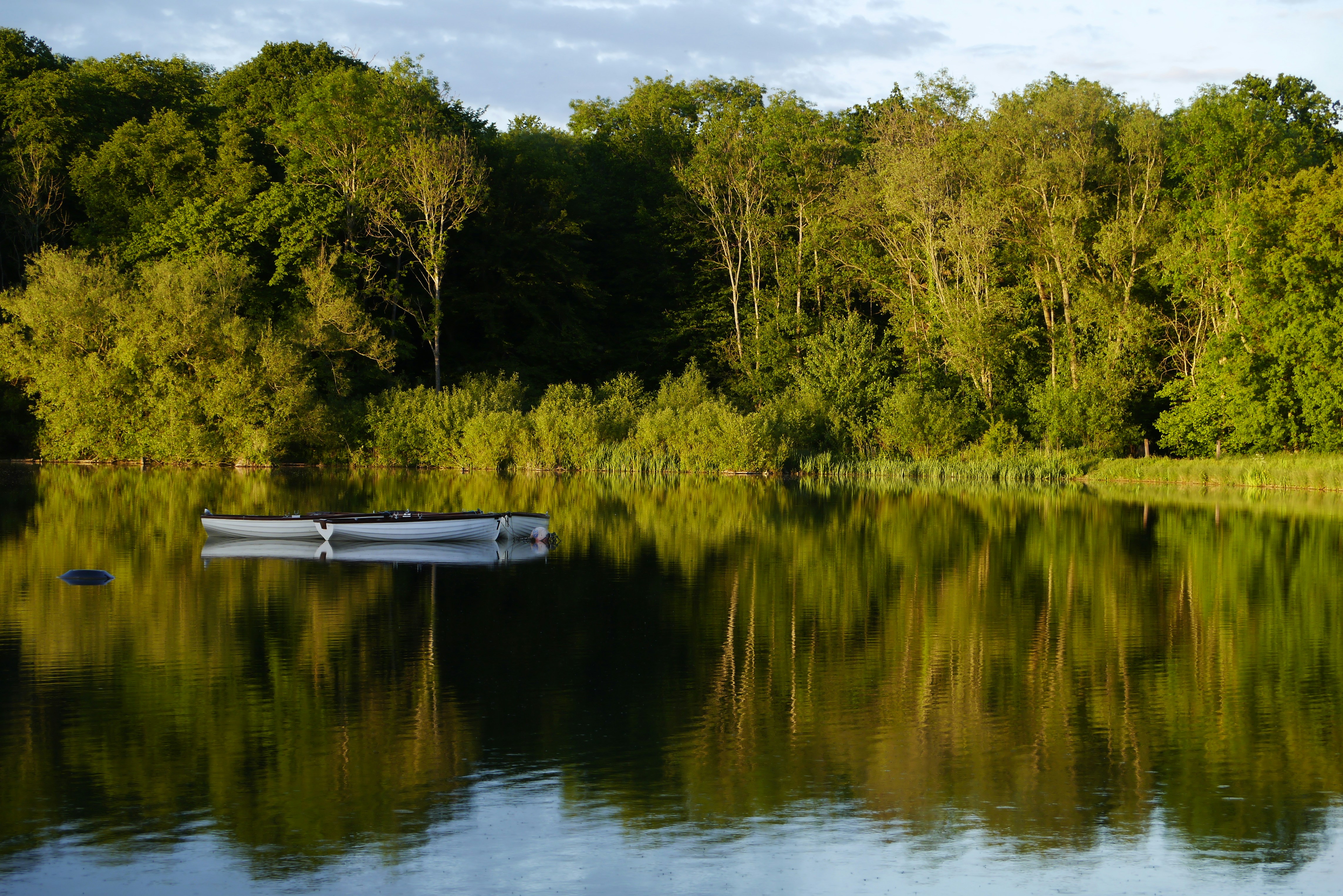 Photo by balmy_sunset