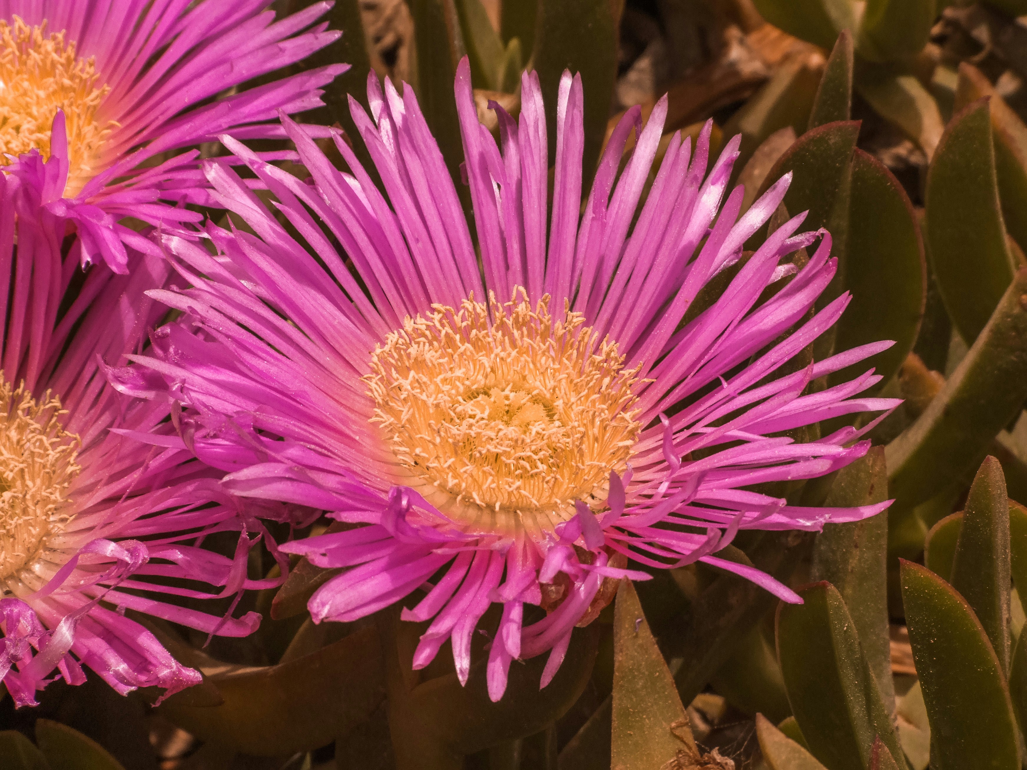 Photo by botondtakacs