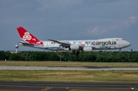 A large cargo airplane is captured mid-flight against a backdrop of trees and a clear sky. The aircraft features distinctive artwork on its fuselage and a bright red tailfin with a geometric logo. The landing gear is extended as it prepares for landing on a nearby runway.