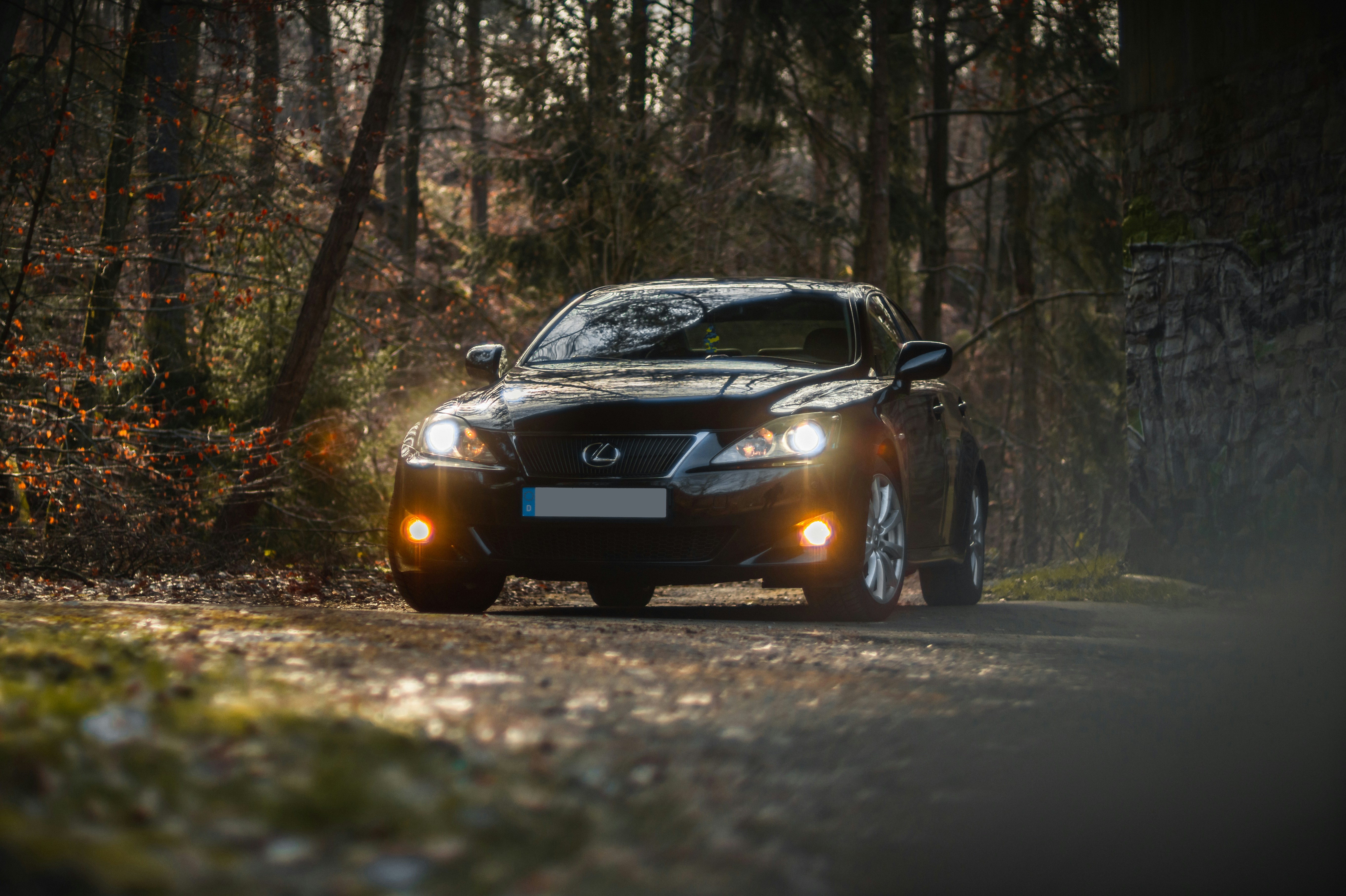 Photo by davidvondiemar