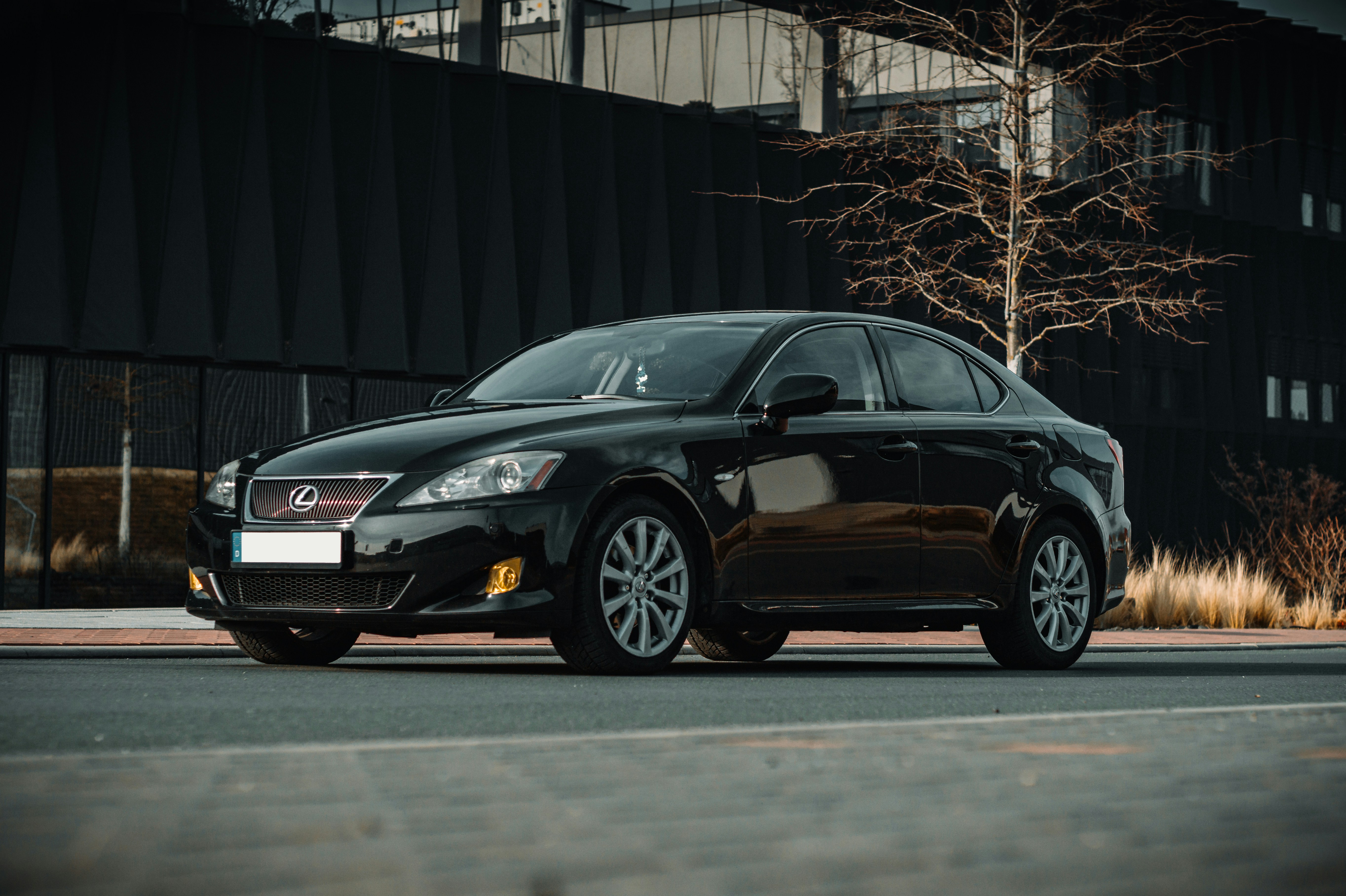 Photo by davidvondiemar