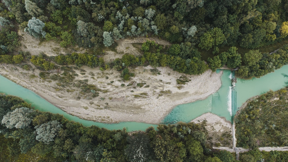 a river running through a lush green forest