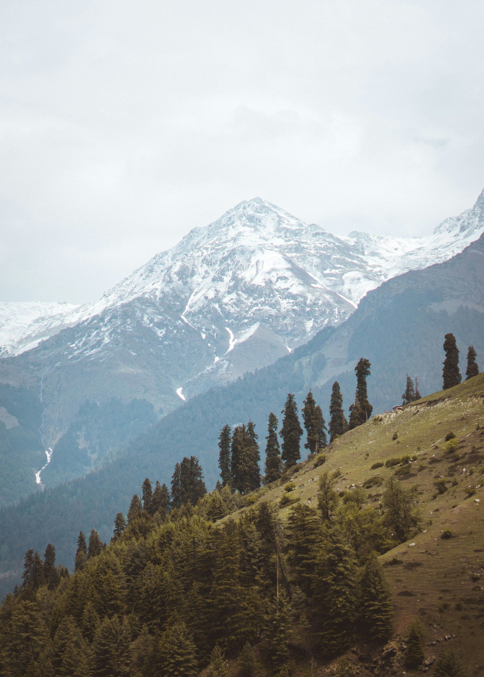 Photo by sharadmbhat