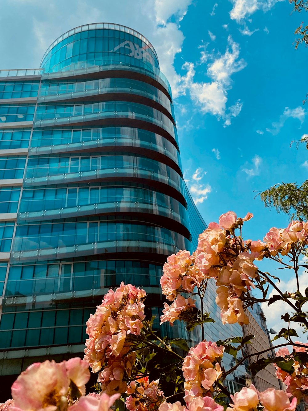 Un edificio alto con muchas ventanas junto a flores rosadas