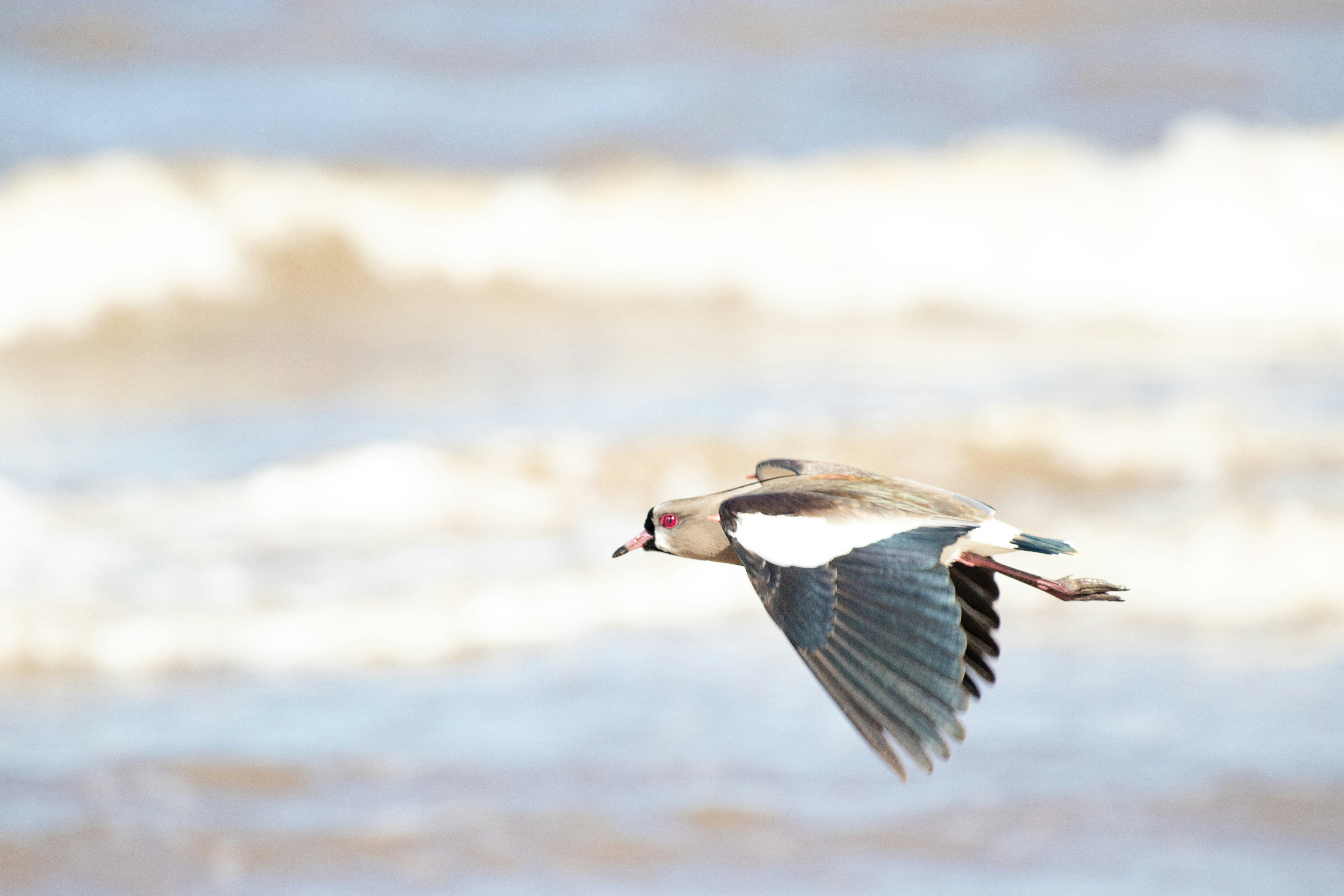 Photo by sonianadales