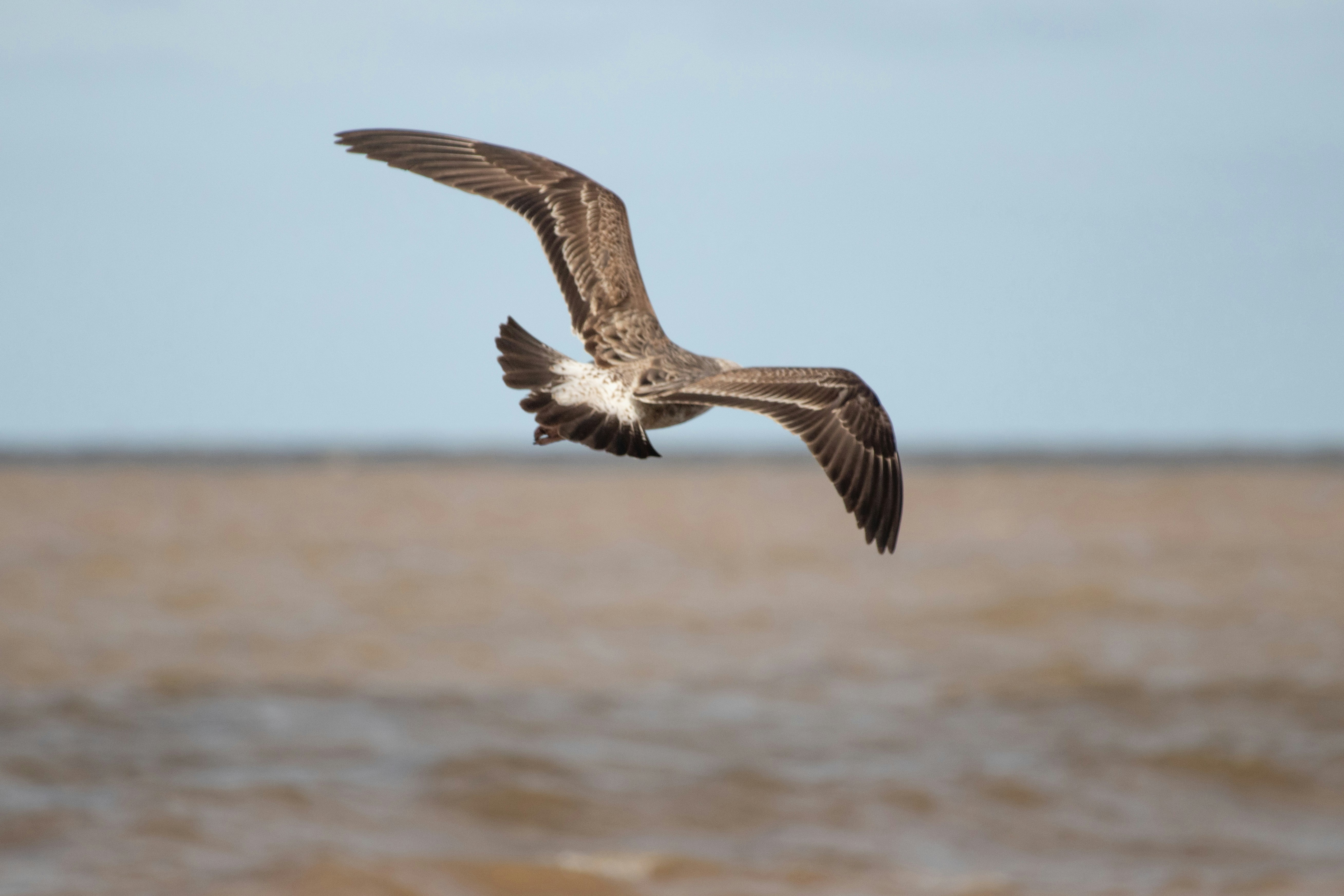 Photo by sonianadales