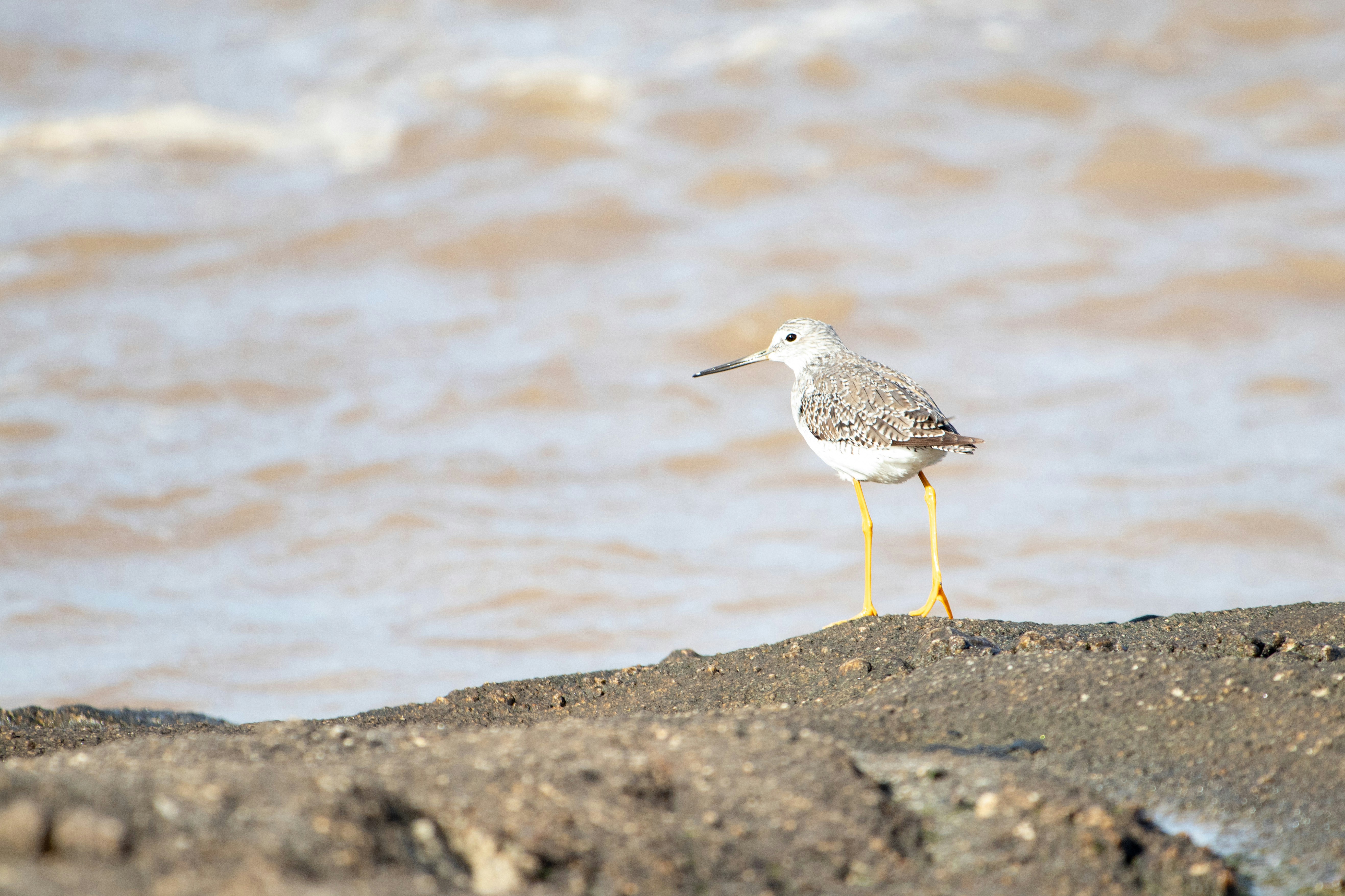 Photo by sonianadales