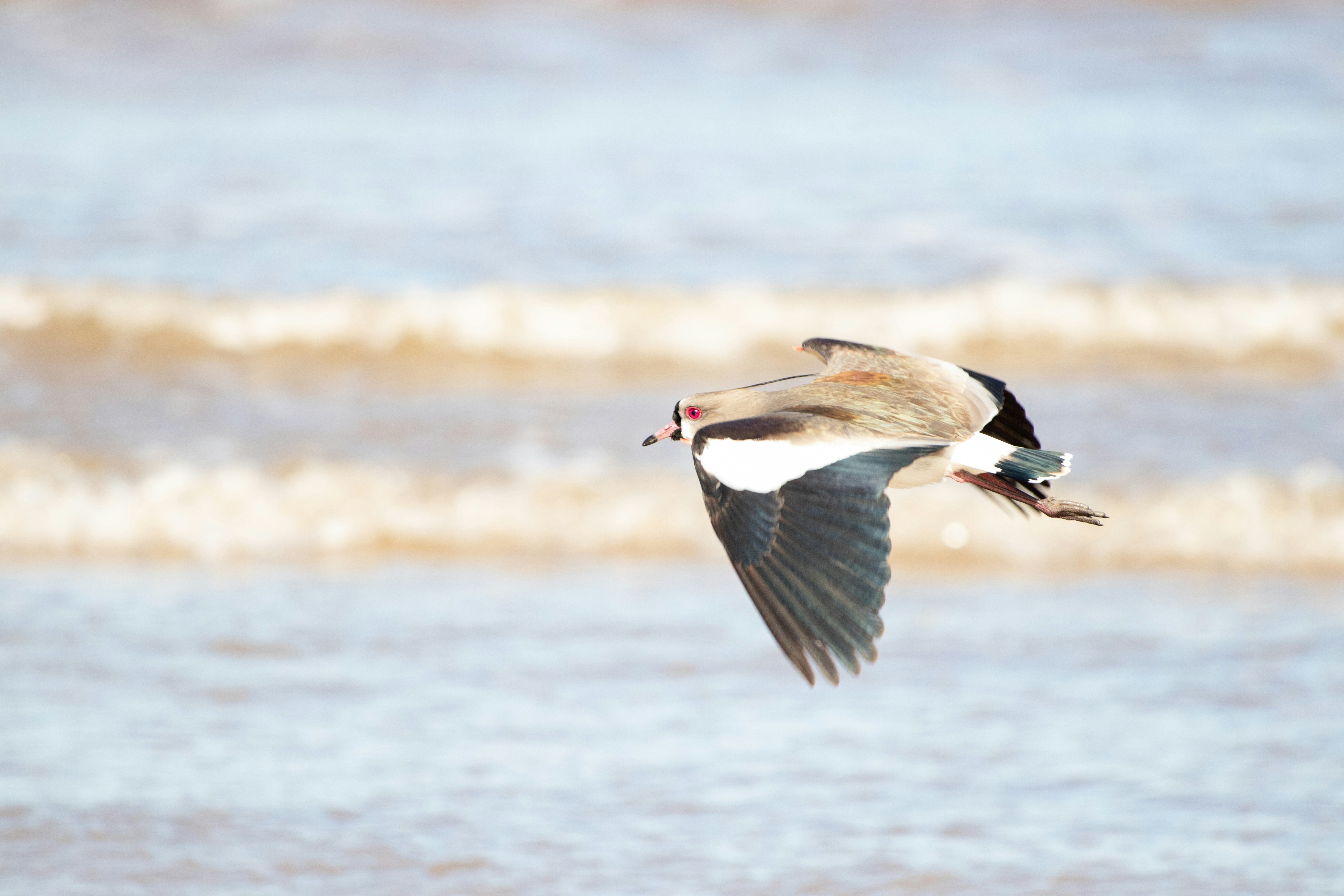 Photo by sonianadales