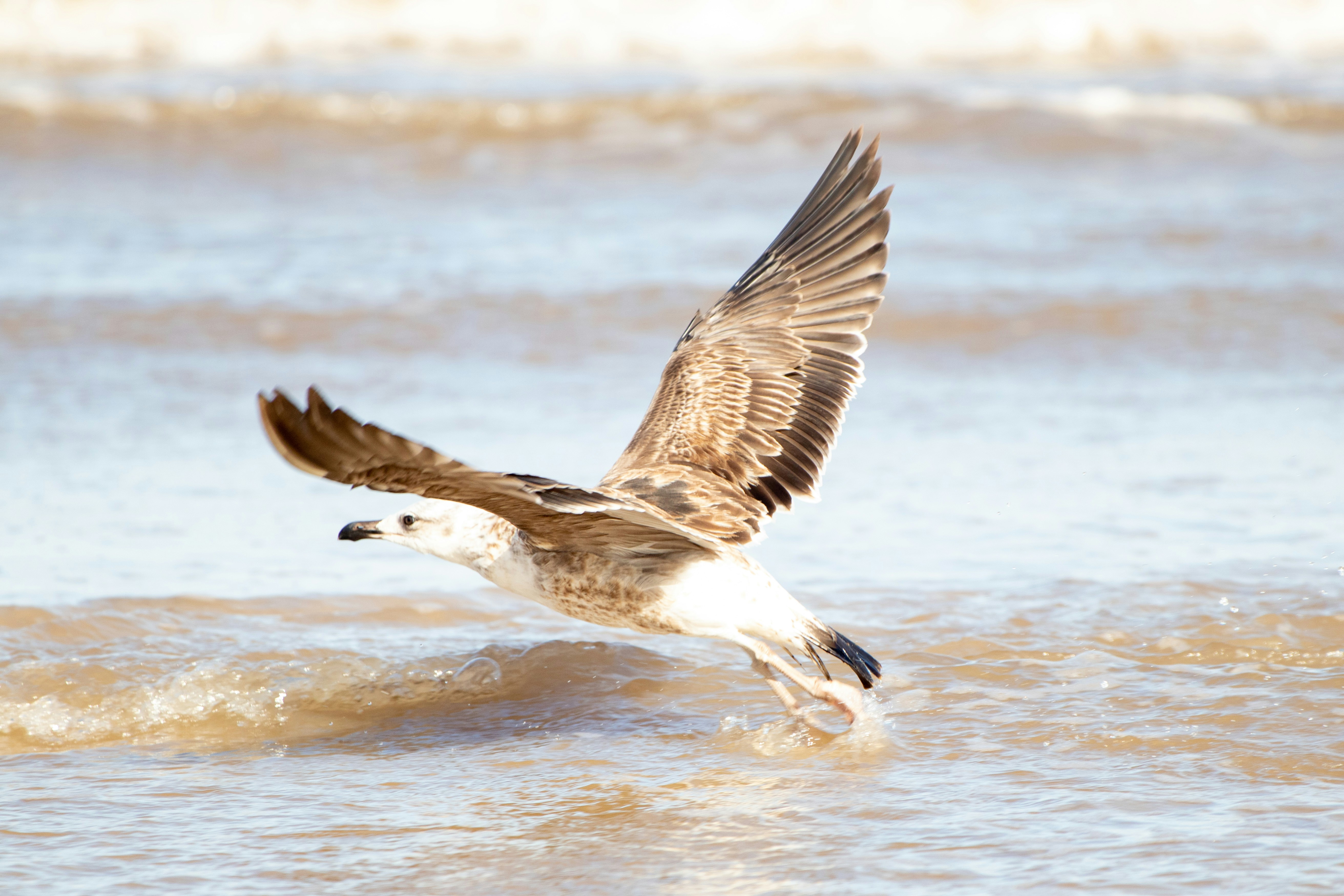 Photo by sonianadales