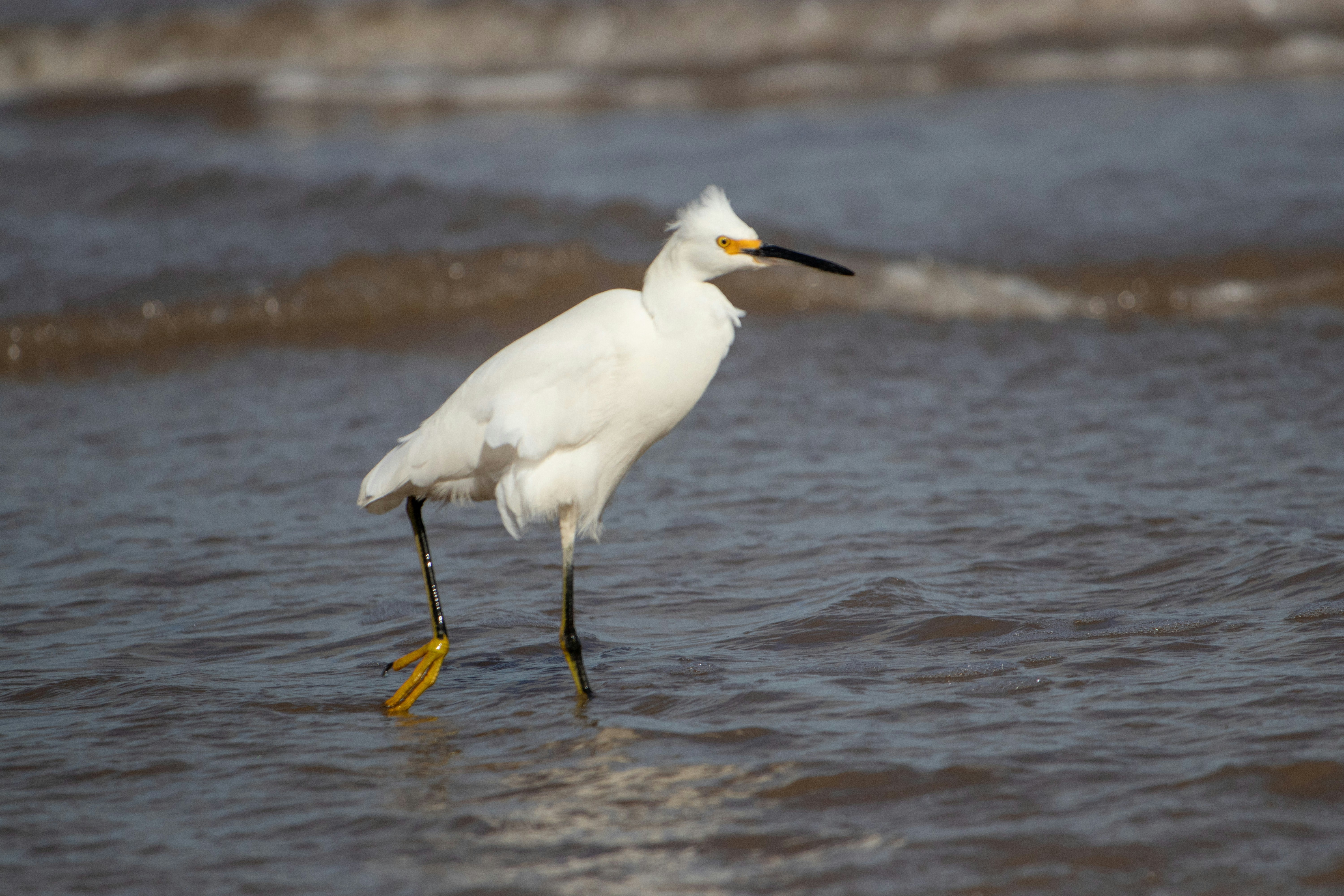 Photo by sonianadales