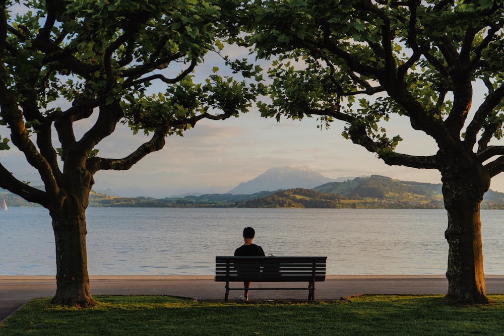 a person sitting on a bench near some trees