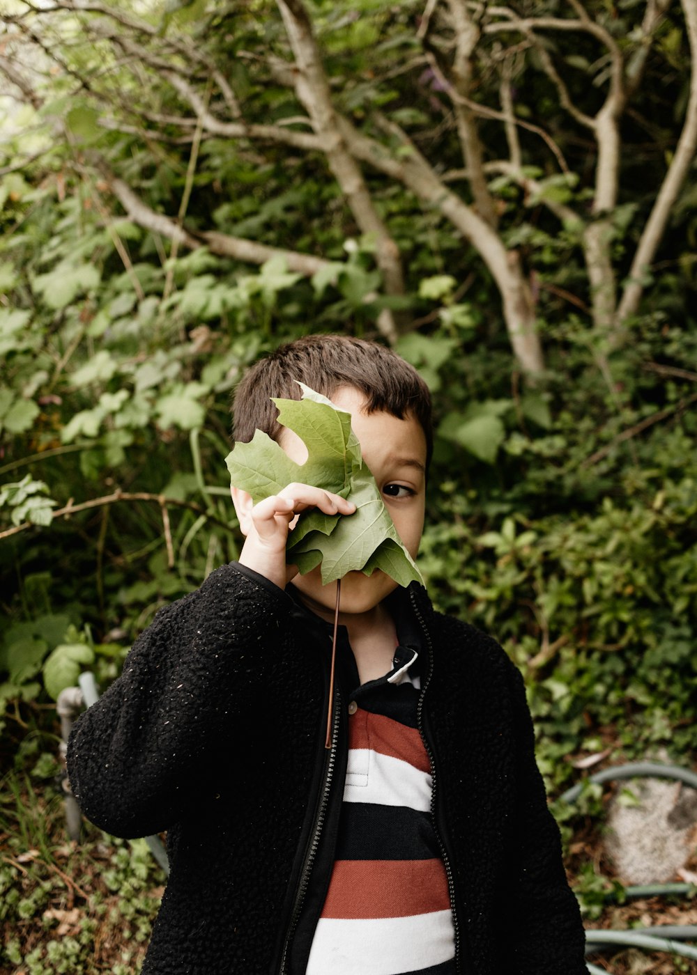 a young boy holding a leaf to his face