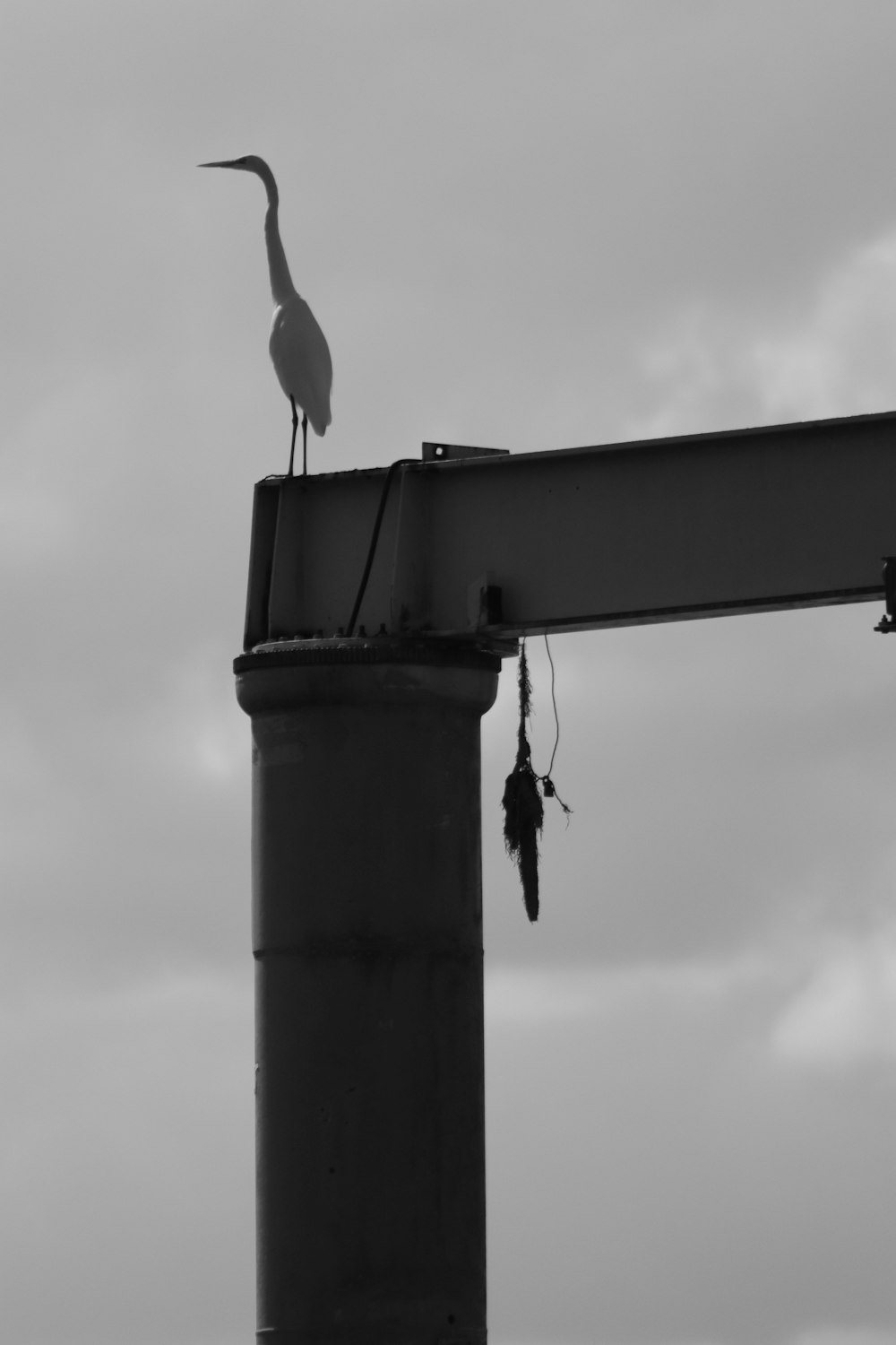 a crane is standing on top of a pole